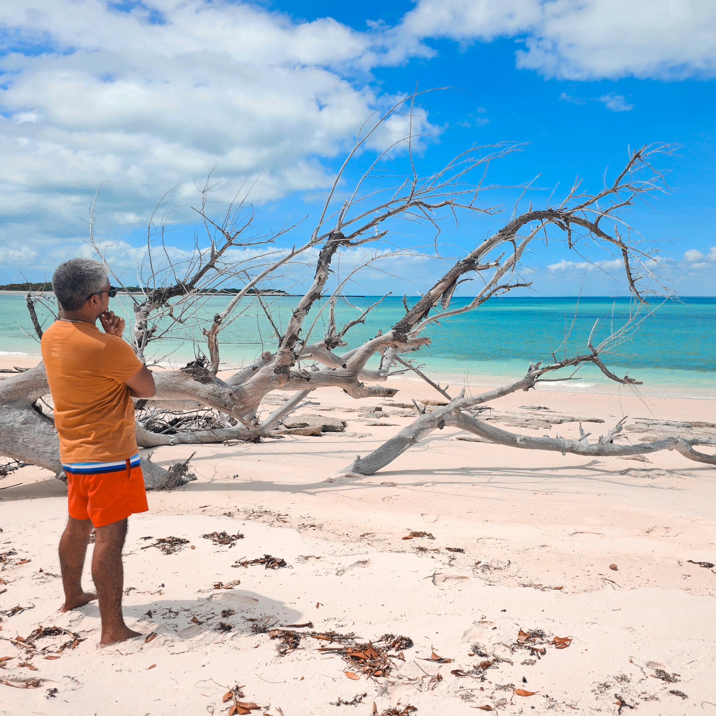 Still seeing Scapes everywhere I Go, And they are all perfect.
#hardscapeideas
#hardscapedesign
#wood
#scape
#aquascapers
#aquariumlife
#aquascaping
#aquascapes
#aquascapingworld
#inspiration