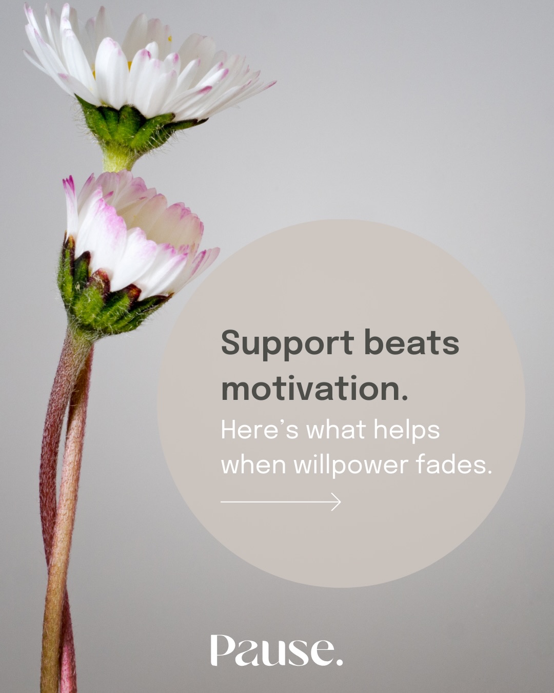 When motivation dips, support is what keeps things moving.
That might be a setup that removes decisions, a space that reduces friction, or a system that does some of the thinking for you.
Make the important things easier to start and simpler to continue. That's how consistency actually happens. 👊
#pausecollective #everydaycalm #slowlivingaustralia #intentionalliving #mindfulmoments