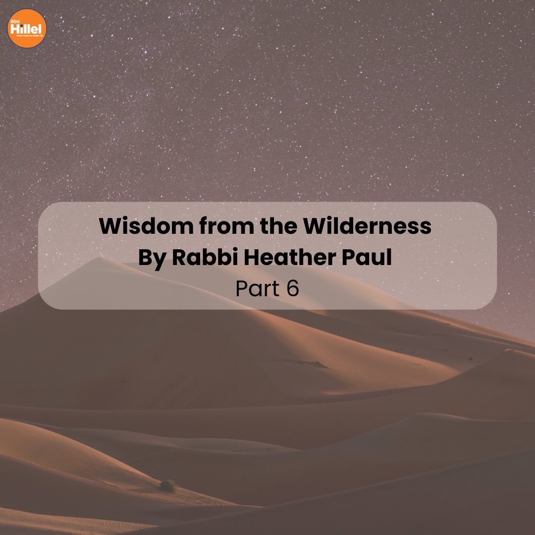 This is the final installment of Rabbi Heather Paul’s @thetiedyerabbi wisdom from the wilderness - ancestral antidotes to existential whiplash. You can review the previous lessons by going back through our Instagram posts. As we prepare to face another semester, with its wildernesses within and around us, we hope these lessons return to you when you need them the most. Thanks for reading - and happy spring semester!