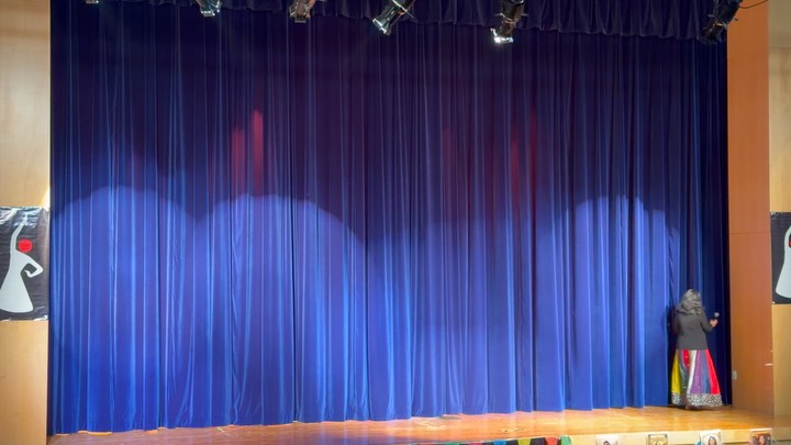 Congrats to our HCS Indian Dance Troop for a great performance this weekend. Under the direction of @buzybugs they designed and decorated their jean jackets and sunglasses and were taught by the amazing @shehnaazdanceacademy teachers. Incredible performance by the teachers as well!