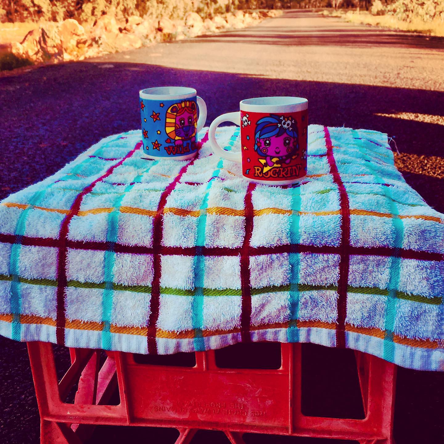 Out for isolating coffee... #cristinaforfairtrade #happyathome #CFFT #elegantemu #adavale #outbackqld #australia #charleville #staysafe #isocoffee #quilpieshire #visitadavale #fairtradecoffee