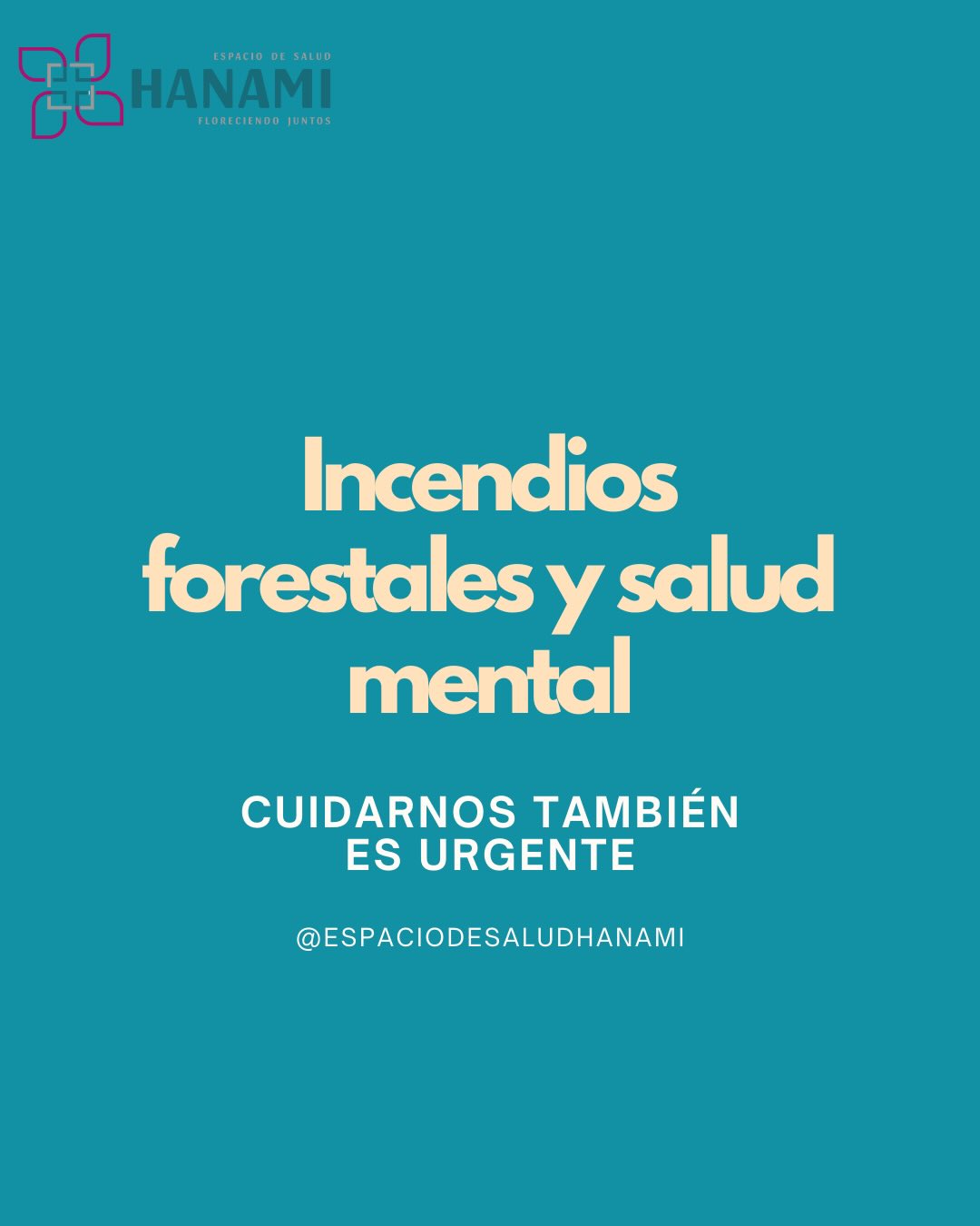 Los incendios forestales que hoy afectan a distintas zonas de Chile, no solo impactan el territorio y el entorno natural.
También afectan profundamente la salud mental y emocional de las personas.
Frente a situaciones de emergencia es esperable sentir miedo, angustia, rabia, tristeza o un estado de alerta constante. Estas reacciones son respuestas humanas frente a una amenaza real.
Acompañar en estos momentos implica escuchar sin juzgar, validar lo que la otra persona siente, evitar minimizar la experiencia y ofrecer presencia y apoyo concreto. A veces, estar disponibles es más importante que tener respuestas.
Cuidarnos también es parte del proceso: regular la exposición a noticias, mantener rutinas básicas, buscar espacios de descanso y pedir ayuda cuando el malestar se vuelve difícil de sostener.
Hablar de salud mental en contextos de emergencia es parte del cuidado colectivo 🤍