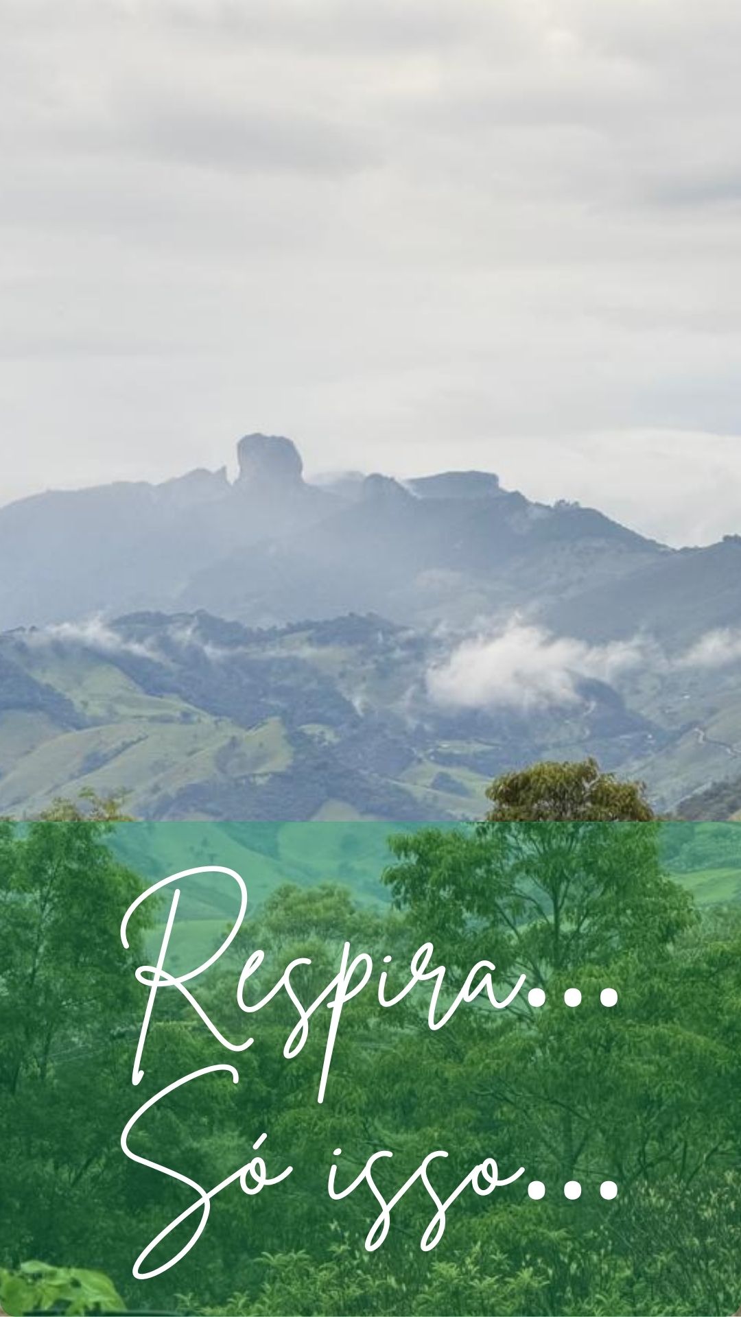 Às vezes o que falta não é resposta,
é pausa.
Fica aqui comigo um minutinho.
Respira…
Só isso.
Se ajudou, me dá um alô.
#respira
