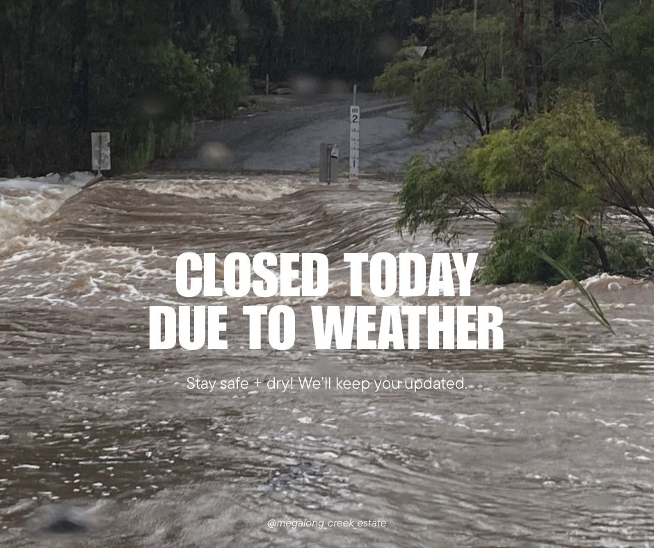 The MCE Cellar Door will be closed today due to extreme rainfall overnight and today, which has made the Old Ford Reserve crossing on Megalong Road impassable. For your safety, please do not attempt to cross floodwater. #donotcrossfloodwaters #megalongvalley #bluemountainsnsw #bluemountainswine