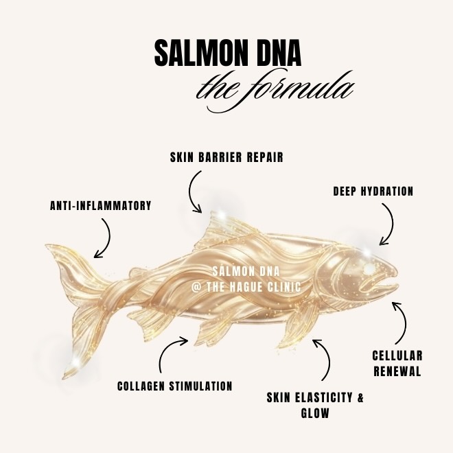 ✨ NIEUW BIJ THE HAGUE CLINIC ✨
De behandeling waar de skincare-wereld momenteel niet omheen kan.
🧬 PDRN (Zalm DNA)
De trendy skin regeneration behandeling uit Zuid-Korea.
Deze geavanceerde treatment activeert de huid op diep niveau en stimuleert:
• intens huidherstel
• celvernieuwing
• collageen- en elastineproductie
• verfijning van huidstructuur en teint
✨ Nu beschikbaar bij The Hague Clinic.
Lees meer & boek via de link in onze bio.
📅 Boek online: www.thehagueclinic.nl
📞 Bel: 085 060 74 77
📧 E-mail: info@thehagueclinic.nl
LIKE, SAVE & FOLLOW als jij klaar bent voor jouw huidtransformatie.
🤍 @thehagueclinic
#zalmdna #zalmdnafacial #salmomdna #pdrnbehandeling #zalmpdrn
