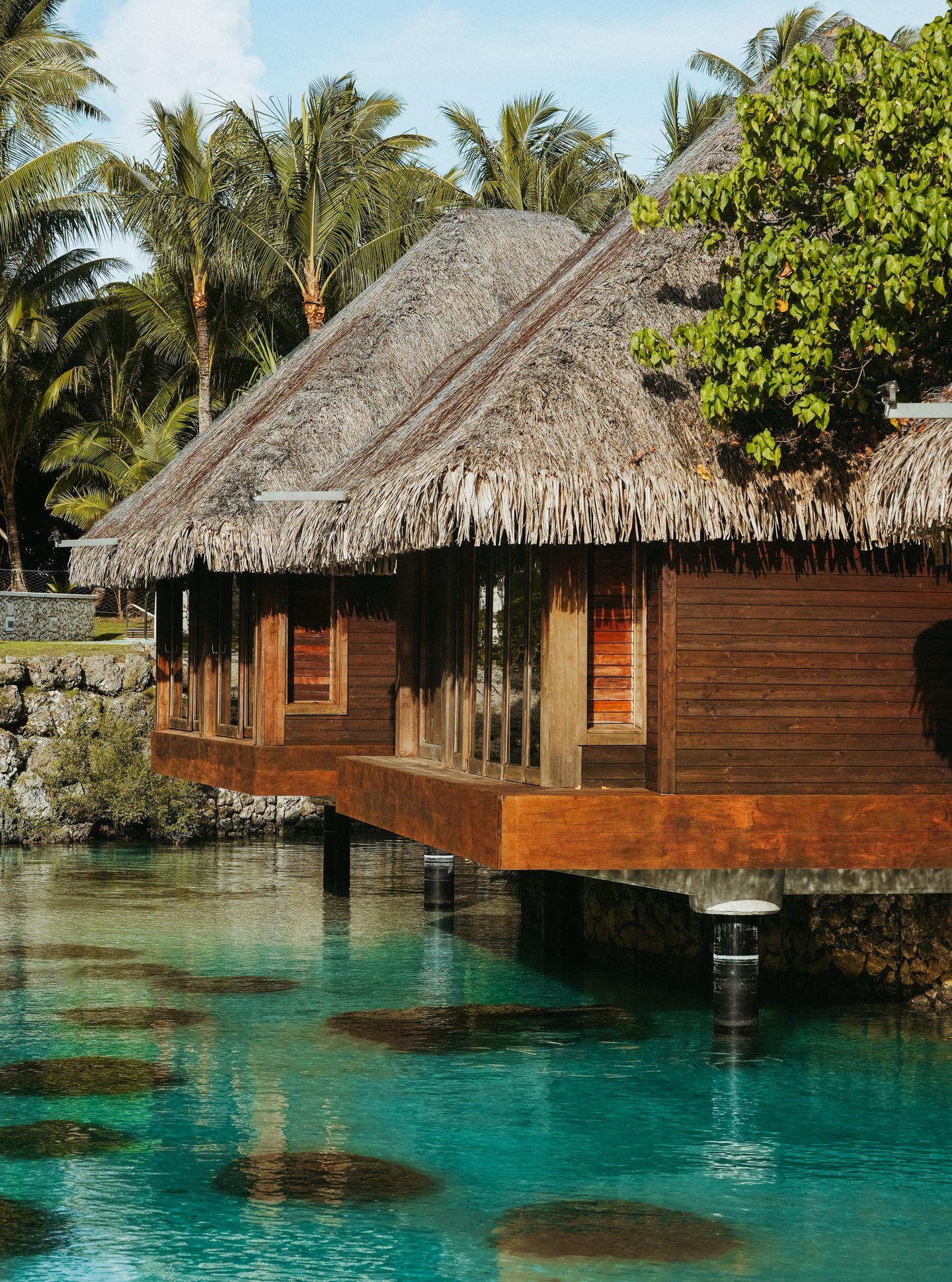 Un spa suspendido sobre el lagón, donde el agua acompaña cada movimiento.
En la Polinesia francesa, los masajes siguen el ritmo de la naturaleza.
Un instante fuera del tiempo para reconectar cuerpo y mente.
.
A spa floating above the lagoon, where water becomes part of the experience.
In French Polynesia, massages follow the rhythm of nature.
A timeless moment to reconnect body and mind.
📷 @emmatournier_ | @ic_boraborathalasso
#MoemoeaTravel #PolinesiaFrancesa #FrenchPolynesia #BoraBora #OverwaterSpa #LagoonSpa #LuxuryWellness #SpaExperience #IslandWellness #SlowLuxury #MoemoeaExperience #LoveTahiti