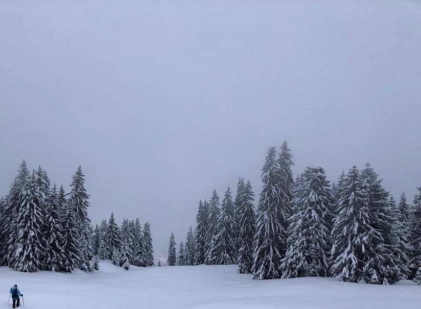 L’hiver arrive ☃️ Envie de sortir dans cette ambiance calme et magique ?
Mon programme de rando est en ligne sur www.kulkatrek.com; rejoignez-moi !