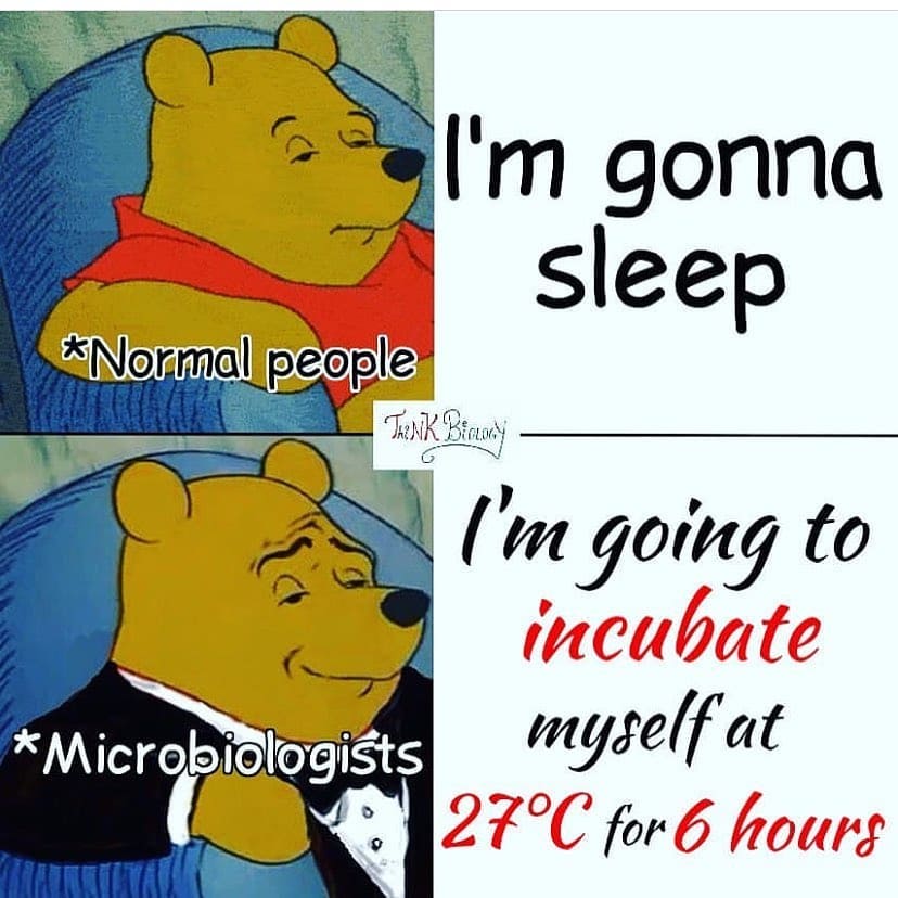 Please provide nutrients in the form of glucose 🍬🍭🍫 #biotech #microbiology #scienceiscool #glucose #biology #chemistry #alevelbiology #gcse #gcsescience #triplescience #resultsday #aqa #ocr #edexcel #scienceiscool #tutor #sciencetuition