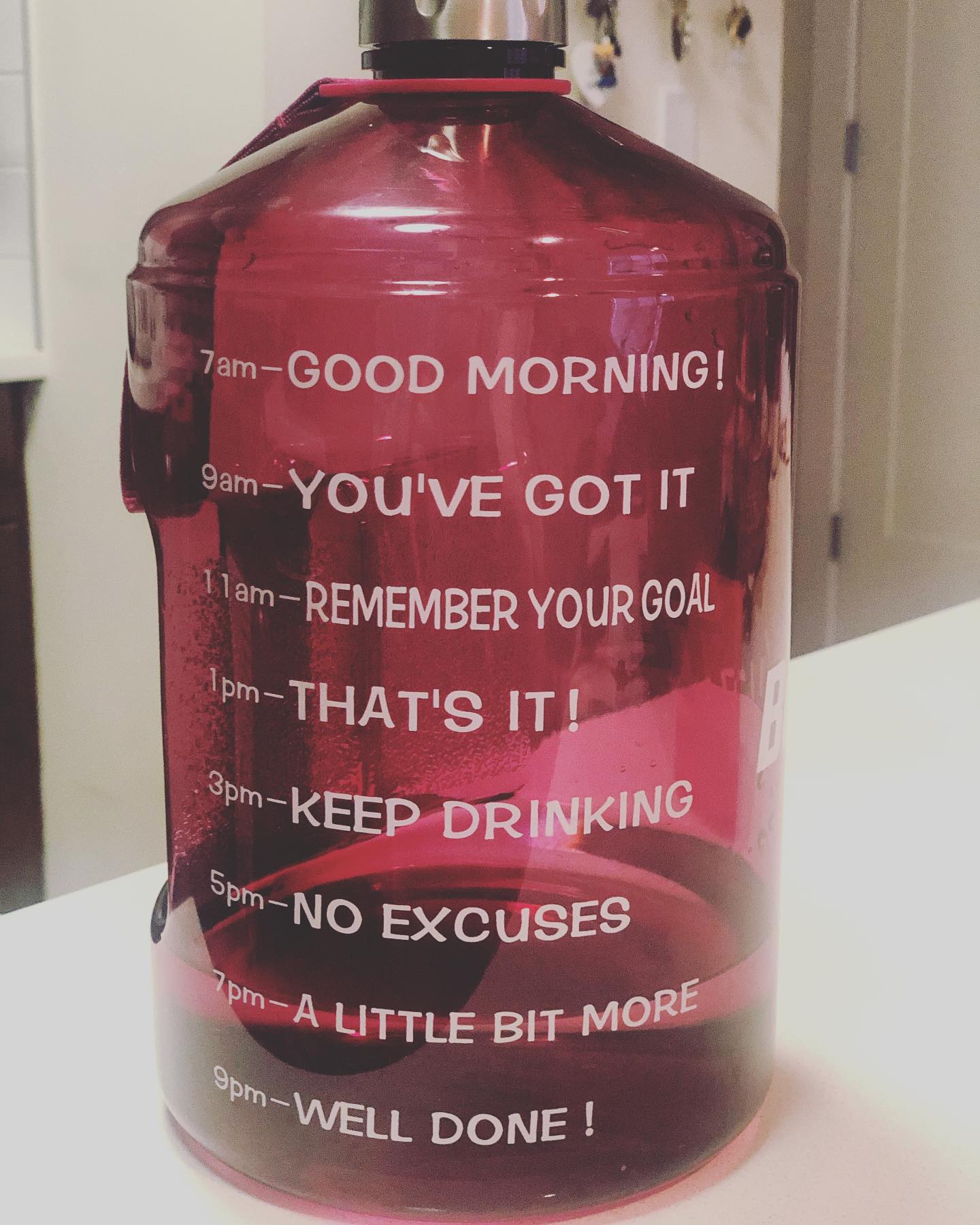 One of my goals for 2021 include drinking more water! This gallon water bottle helps me keep track of my water intake for the day while providing me with some motivation to keep going. ⠀⠀⠀⠀⠀⠀⠀⠀⠀⠀⠀⠀
Some days are definitely harder than others but if I put my mind to it I can force myself to finish this gallon of water each day! ⠀⠀⠀⠀⠀⠀⠀⠀⠀⠀⠀⠀
#stayhydrated #type1diabetes #t1diabetes #typeonestrong #t1dstrong #t1dwarrior #t1dloookslikeme #jdrf #beyondtype1 #t1dwarrior #t1dcommunity