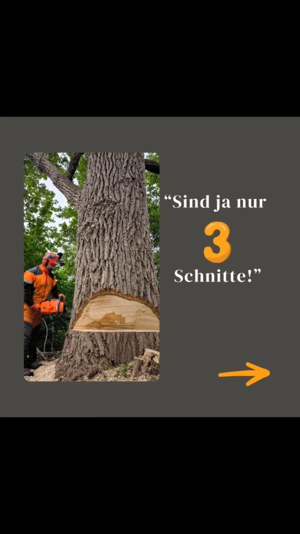 Baumfällung vs. Gefahrbaumfällung
Nur weil ich einen Baum fällen kann, heißt das nicht, dass ich JEDEN Baum sicher für alle Beteiligten fällen kann. ☝️
Wenn es um Sicherheit geht, darf sich das Ego hinten anstellen.
#baumfällung #lumberjack #chainsaw #seilwinde #waldarbeit