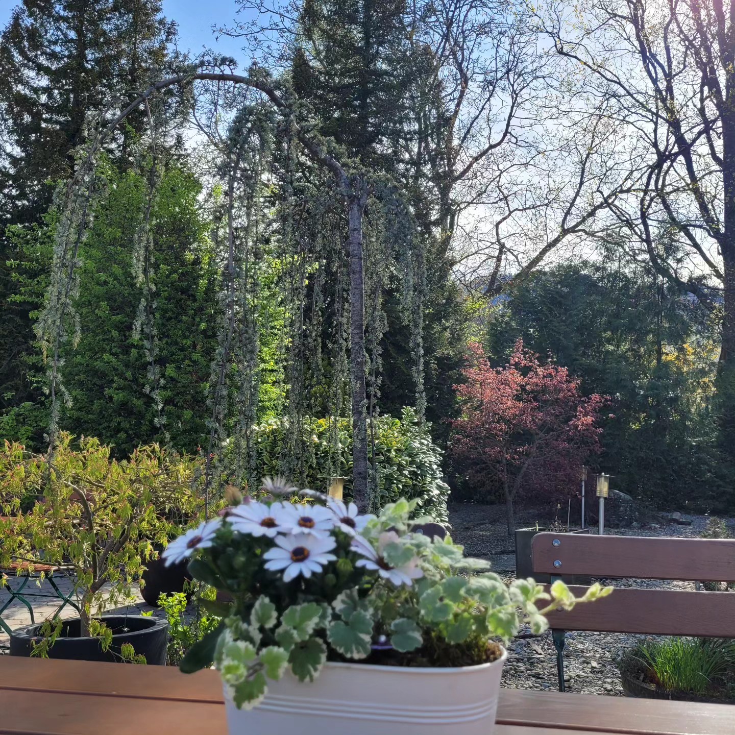 Gartensaison ist Eröffnet!😃
Auf Euer kommen freut sich das Hellis Team!🍺