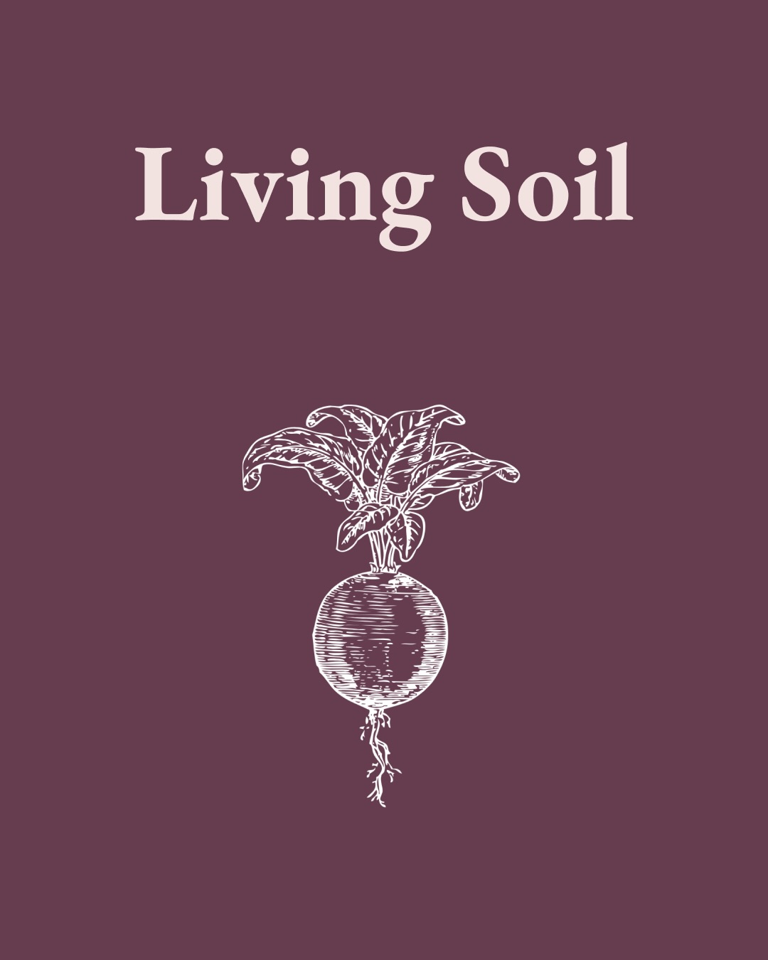 A core principle in regenerative and organic farming is to keep the soil covered! One way to do this is to keep living roots and plants in the soil for as much of the year as possible. Living roots help hold soil in place, reduce erosion, and improve water absorption.
.
.
.
#NOFA #OrganicFarming #RegenerativeAgriculture #TheNaturalFarmer #LivingRoots