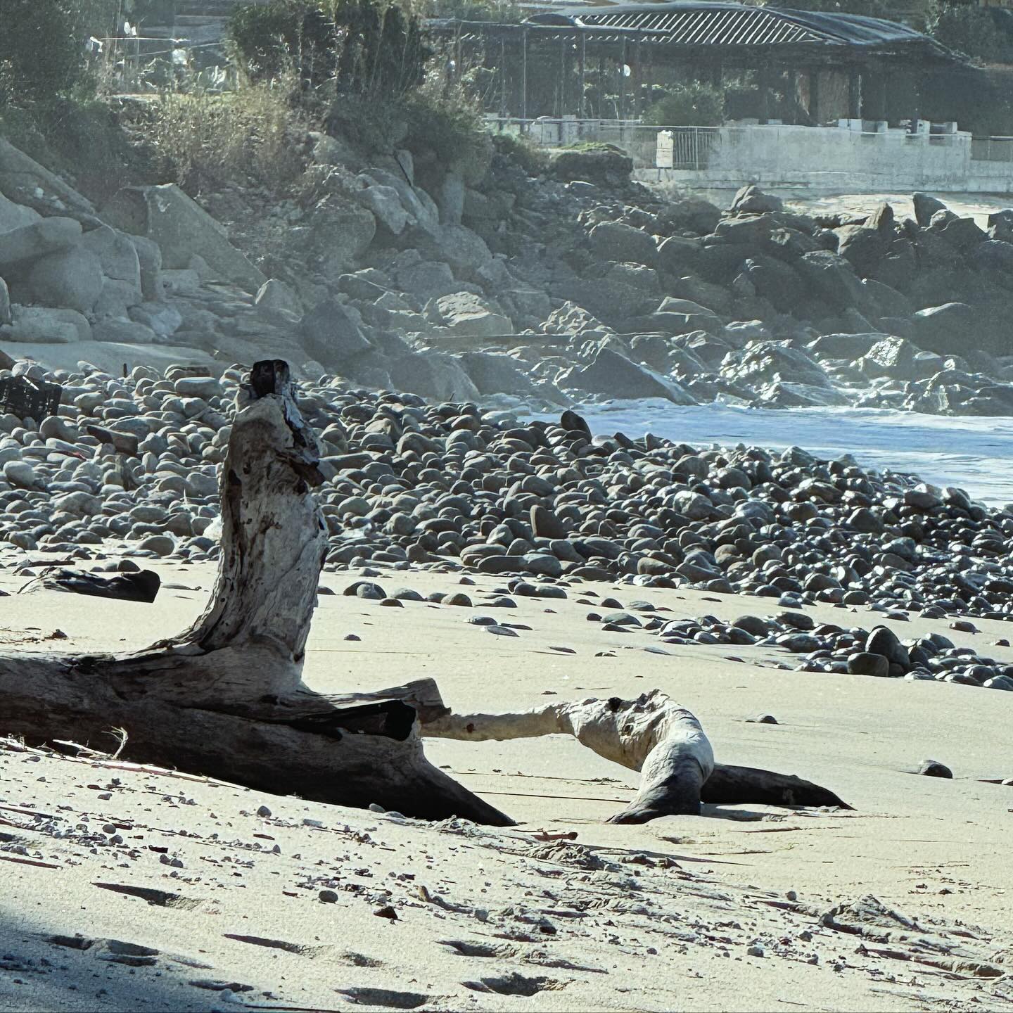 Protecting our beach? #beach #statue #whenincalabria #driftwood