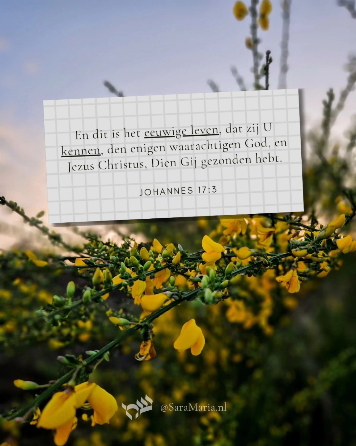 Deze tekst gaat de laatste weken met me mee. Wat is Bijbels 'kennen' toch mooi! Het is niet alleen weten wie iemand is, maar ook een relatie hebben met diegene.'Kennen' is in de Bijbel ook het woord voor gemeenschap tussen man en vrouw binnen een huwelijk. Zo diep gaat kennen ❤️ Wat een belofte van eeuwig leven!
Blogje? Ik hoop er tijd voor te vinden/maken.
"En dit is het eeuwige leven, dat zij U kennen, de enige waarachtige God, en Jezus Christus, Die U gezonden hebt." (Joh 17:3)
