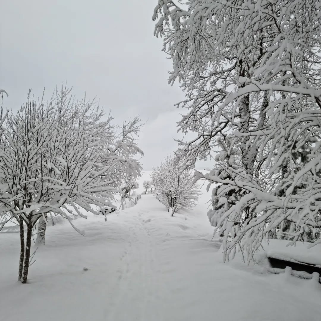 #viherterapia #valkoinen