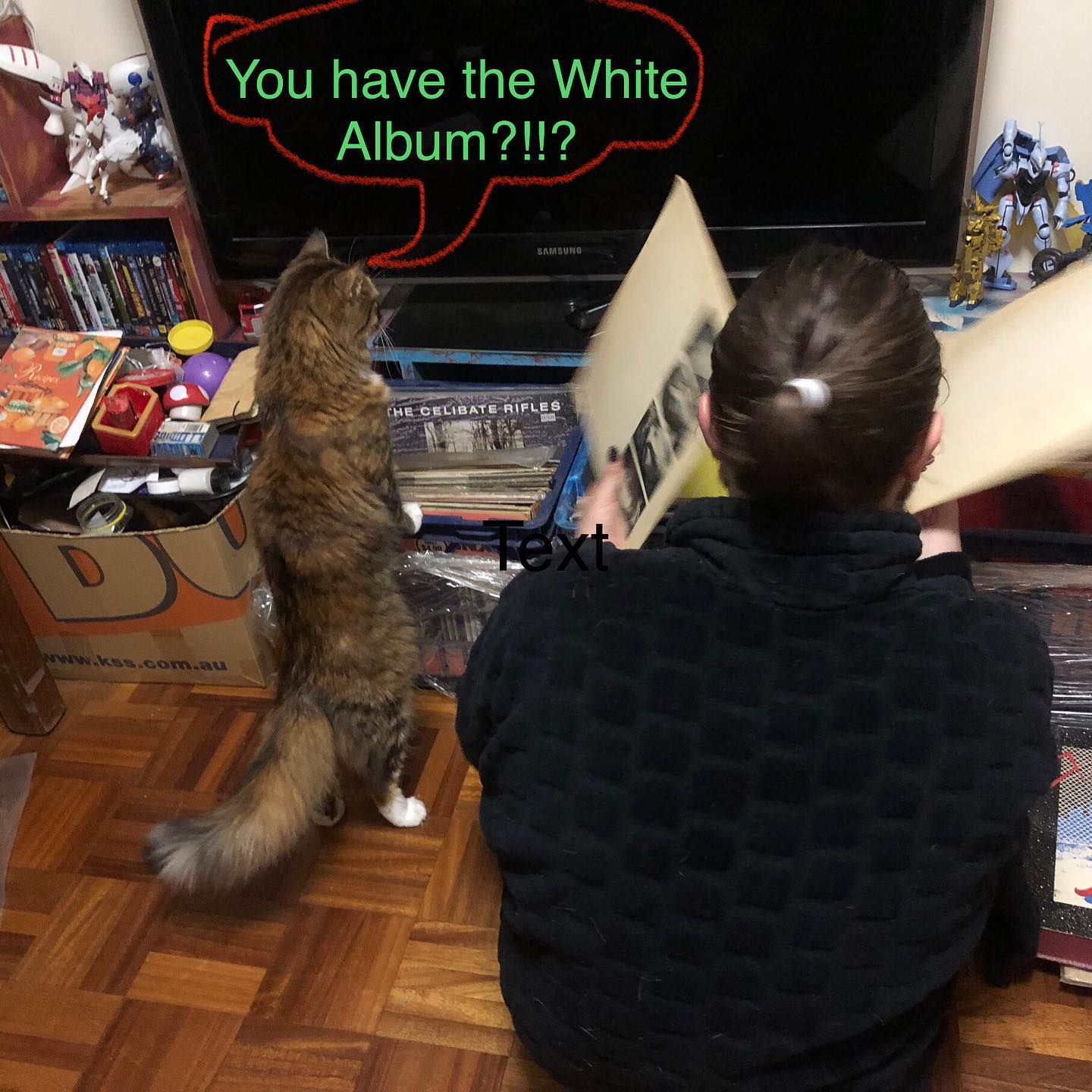 You have the White Album!!