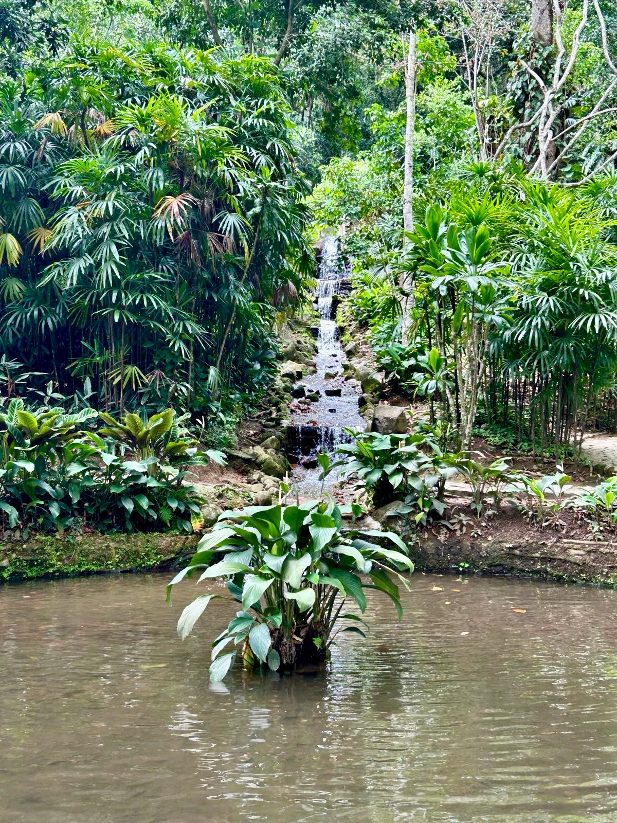 We’re always paying attention to how spaces make people feel before how they look.
Walking through the Rio Botanical Garden, we were drawn to the way landscape architecture, scale, and natural light work together to create a sense of calm. The pathways encourage slow movement, the vegetation frames views naturally, and the space feels intentional without being overdesigned.
Places like this reinforce our belief that thoughtful design begins with observation, understanding how nature shapes experience, flow, and atmosphere.