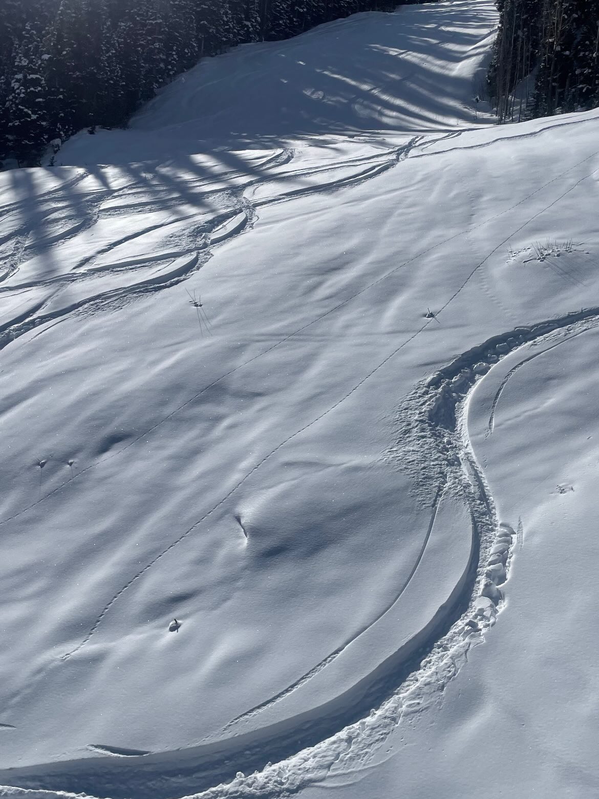 Last week was a lot of fun. Bluebird and beautiful. The resort opened and ropes were dropped all over. Conditions were pretty good considering…