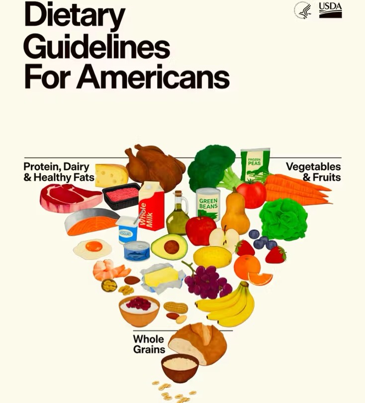 🇺🇸 Un vrai tournant pour la nutrition !
Les nouvelles recommandations nutritionnelles américaines viennent de sortir pour 2025-2030 — et elles ressemblent beaucoup à ce que Greg Glassman le fondateur de CrossFit prônent depuis plus de 20 ans. 🙌
Ce guide marque une rupture avec plusieurs décennies de recommandations dominées par :
• La promotion massive des glucides comme base de l’alimentation
• Un focus sur les graisses saturées comme « mauvaises »
• L’absence d’un message explicite contre les aliments ultra-transformés
📊 Une pyramide alimentaire inversée qui place en priorité :
🥩 Protéines de qualité
🧀 Produits laitiers entiers
🥦 Légumes & 🍎 Fruits
🥑 Graisses saines
👇 Et en bas de la pyramide :
🍞 Céréales raffinées et aliments ultra-transformés — à consommer très modérément.
🥗 Le message est clair : mangez de vrais aliments, pas des produits industriels.
Un tournant majeur pour la nutrition américaine — et bientôt peut-être mondiale ? 🌍
Lien : cdn.realfood.gov/DGA.pdf
Tu veux en savoir plus sur une nutrition qui prône la santé et la performance ? N’hésite pas à venir nous en parler… 👌