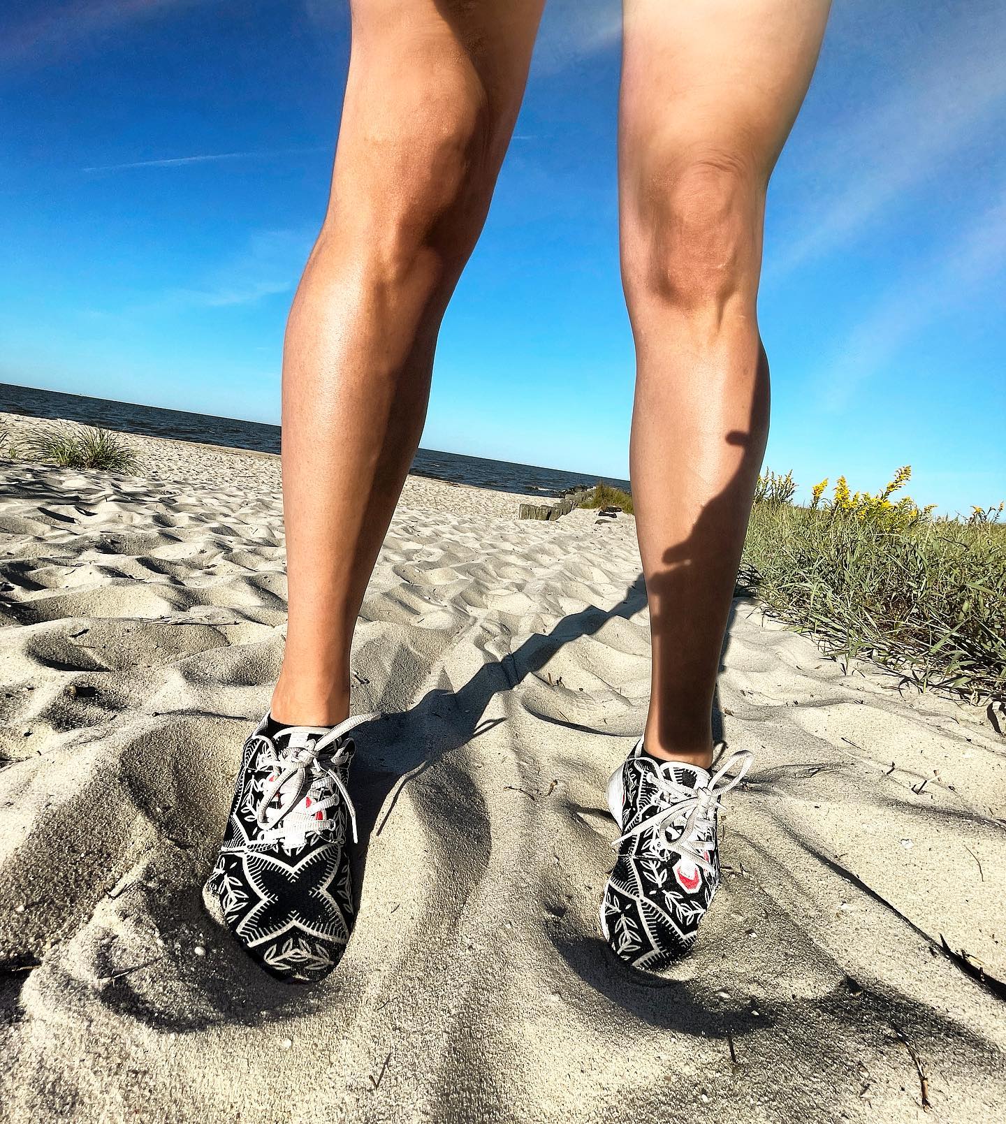 OBEY Laurels Lightweight Trainers
#rovingbee spotted in the sand. 🏝
Pattern design: @rovingbee #obeylaurels
* * * #Rovingbee #fielddesigner #workonsite #lynnplatow #travelerforwork #travelerforlife
#rovingbee #rovingbeedesigns #surfacedesign #patterndesign #repeatpatterns #textiledesign #graphicdesign #paleofishpattern
