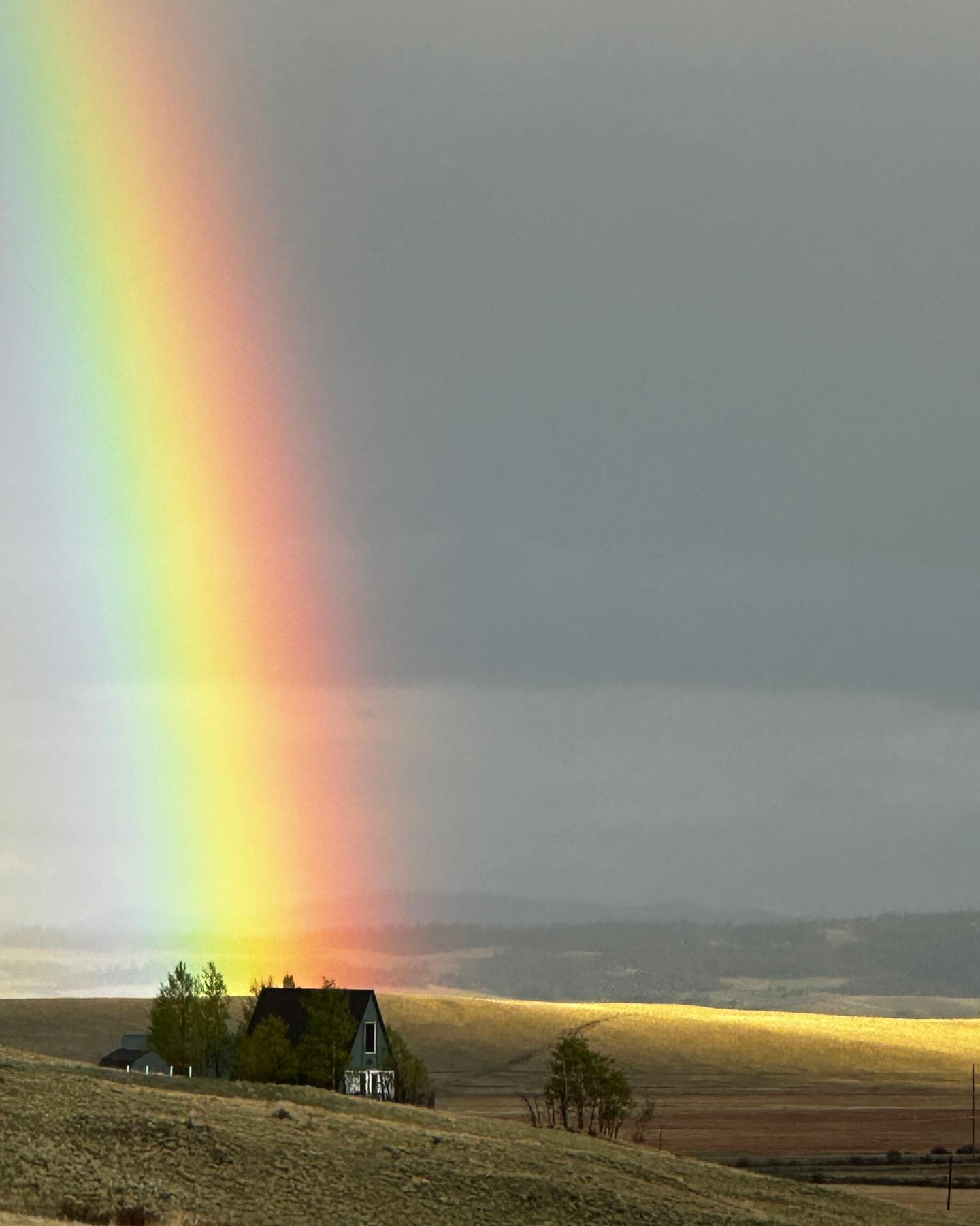 This photo of triangle 1 was shared with me by a neighbor. Think there’s a pot of gold hidden in the cabin? Maybe Mother Nature knows it’s pride month? 🌈
#rainbow #nature #aframehouse #aframecabin #aframeliving #coloradocabin #coloradoviews #parkcountycolorado #southparkcolorado
