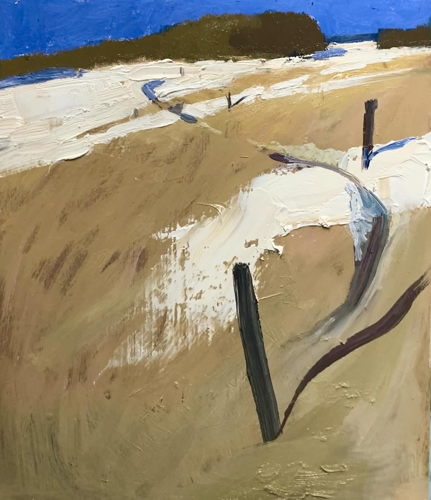 Hastings Country Park with some snow.
Started outside and finished in the studio.
#hastingscountrypark #pleinair #oilpainting