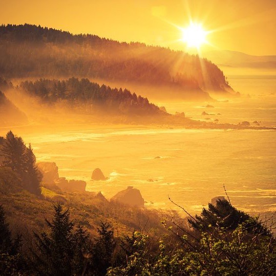 “A functioning forest is a complex form of life. It is interconnected by its own flora driven by the mammals, the amphibians and insects in it. It is kept in place by the fungi, algae, lichens, bacteria, viruses, and bacteriophages. The primogenitors of the forests are trees. They communicate by carbon-coded calls and mass-market themselves by infrasound. The atmosphere links the forests into the heavens and the great oceans. The human family is both caught and held in that web of life.” From the book ‘The Global Forest: 40 Ways Trees Can Save Us’ by Diana Beresford-Kroeger
You can help grow the global forest by switching your web browser to @Ecosia to plant trees for free while you search the web. Ecosia.org is the ‘search engine that plants trees’ by donating 80% of their advertising revenue to effective tree planting projects around the world with a focus on biodiversity hotspots.
Subscribe to @trilliontreescampaign for more inspiring nature content and to connect with easy ways to plant trees around the world.
#trilliontreescampaign #trilliontrees #reforestation #generationrestoration #wildnature #naturebeauty #naturetherapy #incrediblenature #sunlight #sunlightbrilliant #sunbeams #permaculture #photosynthesis #loveforests #futureforest #beauty_of_nature #wow_planet #naturegrams #givebacktonature #nature_inspiration #naturebeauty_pix #naturemeditation #natureinspiredbeauty #naturelifeearth #naturelifeearth #mothernaturerocks #naturephotography #jawdroppingshots #forestphotography #landscapelove