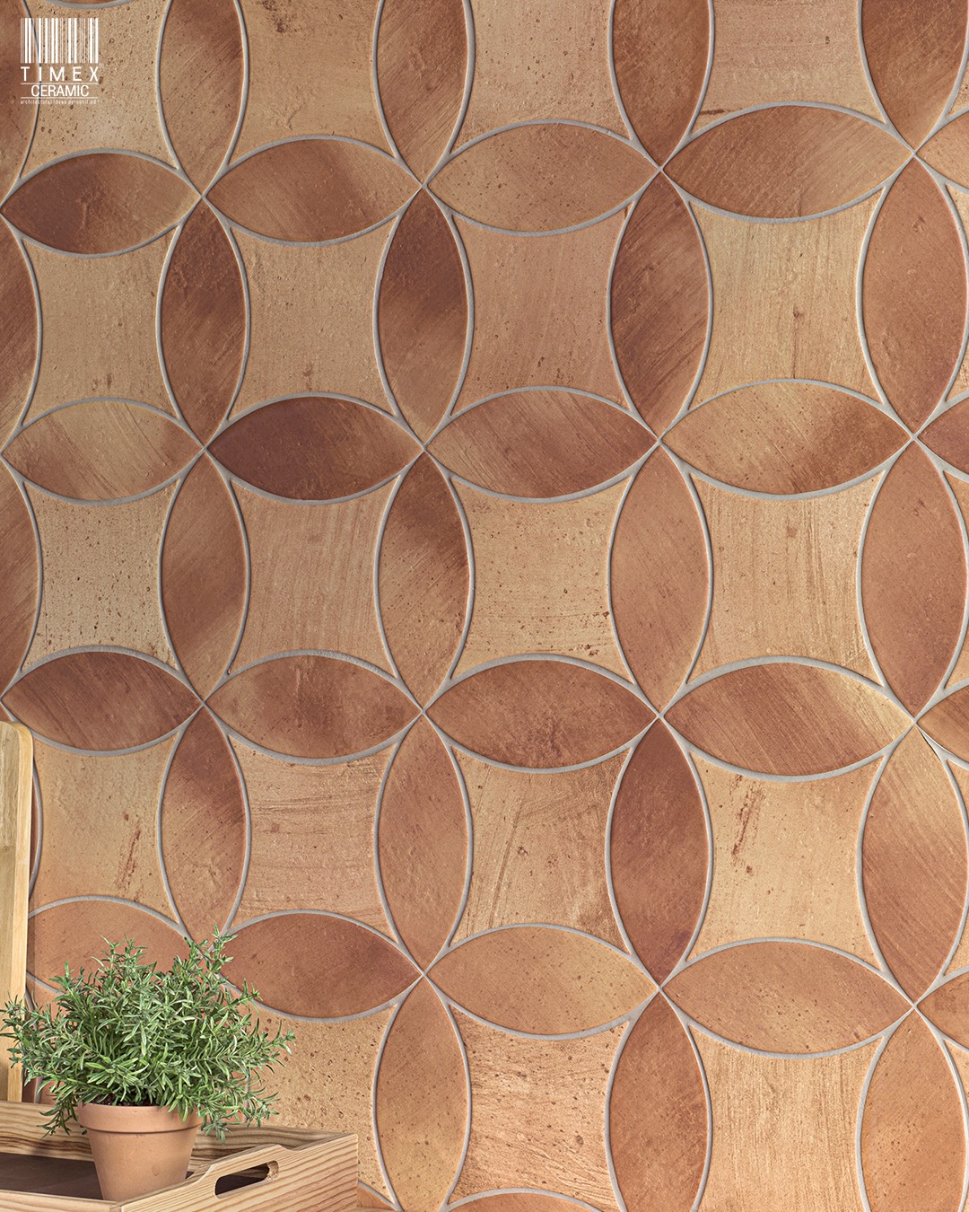 One series. Many settings.
The Colonial Series adapts effortlessly across spaces, from feature walls to floor applications, proving how layout and placement can redefine the same surface. Each installation highlights a different rhythm, shaped by pattern orientation and context.
Designed to feel consistent, yet never repetitive.
Explore more installations on our website.
ďż˝#ColonialSeries #TimexCeramic #InstalledSpaces #DesignTilesIndia #WallAndFloorTiles #InteriorDesignIndia
Colonial Series�Application: Wall and Floor�Size : 80mm X 200mm�Size : 165mm X 165mm
Finish: Matt