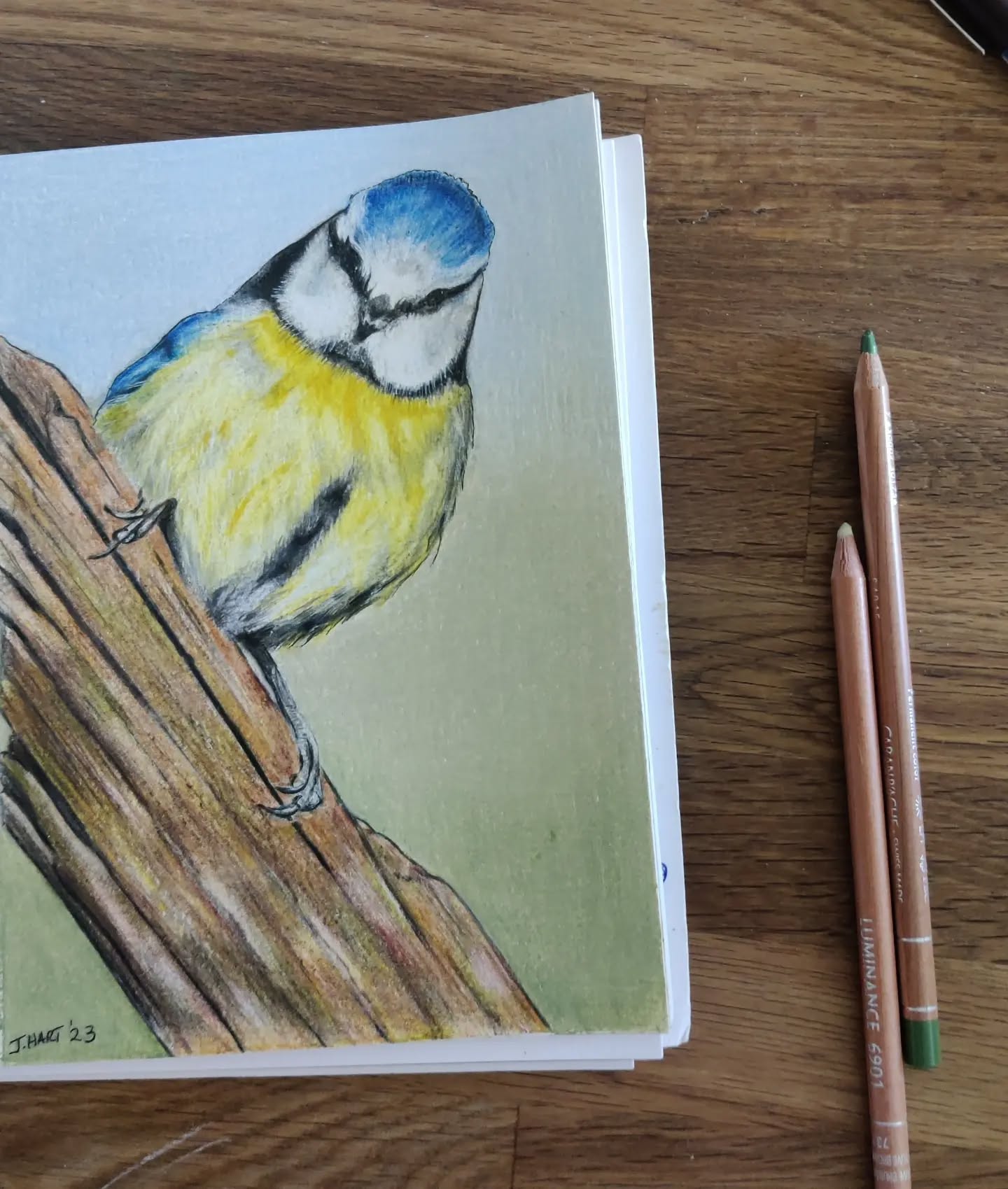 Commission complete!! ........Happy Sunday to all.........