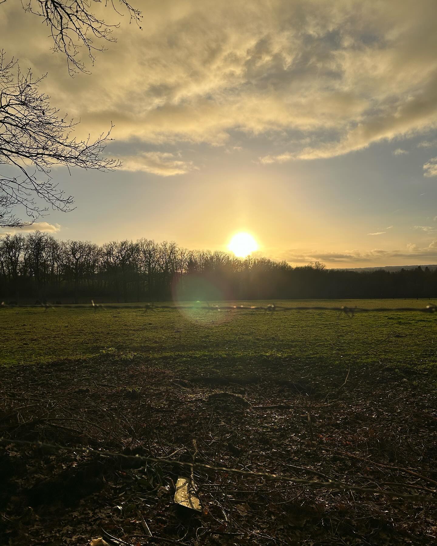 🌲. Au revoir 2023, et merci.🌲
.
Le soleil s’est couché sur cette année
Merci pour les cadeaux, merci pour les leçons
.
✨🤍✨
.
..
…
..
.
#findannee #endofyear #aurevoir2023 #bye2023 #bilan #reveillon #sunset #sunsetlovers #coucherdesoleil #nature #naturephotography #wild #wildlife