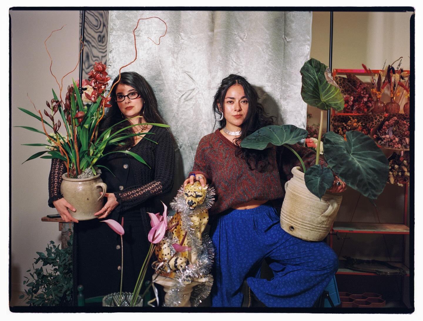 Hola Toulouse!!
Bon,voici nous… et notre Gaïa la Déesse : la mamasita, mère de tous, fille de personne, la PODEROSA, celle née du Chaos !!!
Nous sommes deux êtres derrière ce projet : Lisa & Juliana.
Alors Lisa aime les balades à la campagne et…
On rigole, on ne va absolument pas du tout faire ça.
Venez nous voir en boutique : soit il y aura du reggaeton à fond ou de la salsa, soit de la K-pop ou des chansons galiciennes.
Anyways, ça fait 3 ans que nous existons dans ce monde de la fleur, spécialisées dans les mariages, et maintenant aussi en tant que vos fleuristes de proximité, en plein cœur d’Arnaud Bernard, miamorrrrr 💃🌸
Besitos, et à bientôt au
20 rue Arnaud Bernard 💋
.
.
.
Fotitos en 35mm by the one and only; @jopipemi ❤️🔥