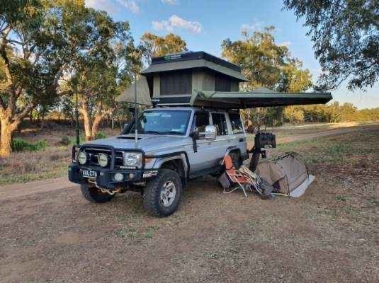 ostrich awn up on the 76