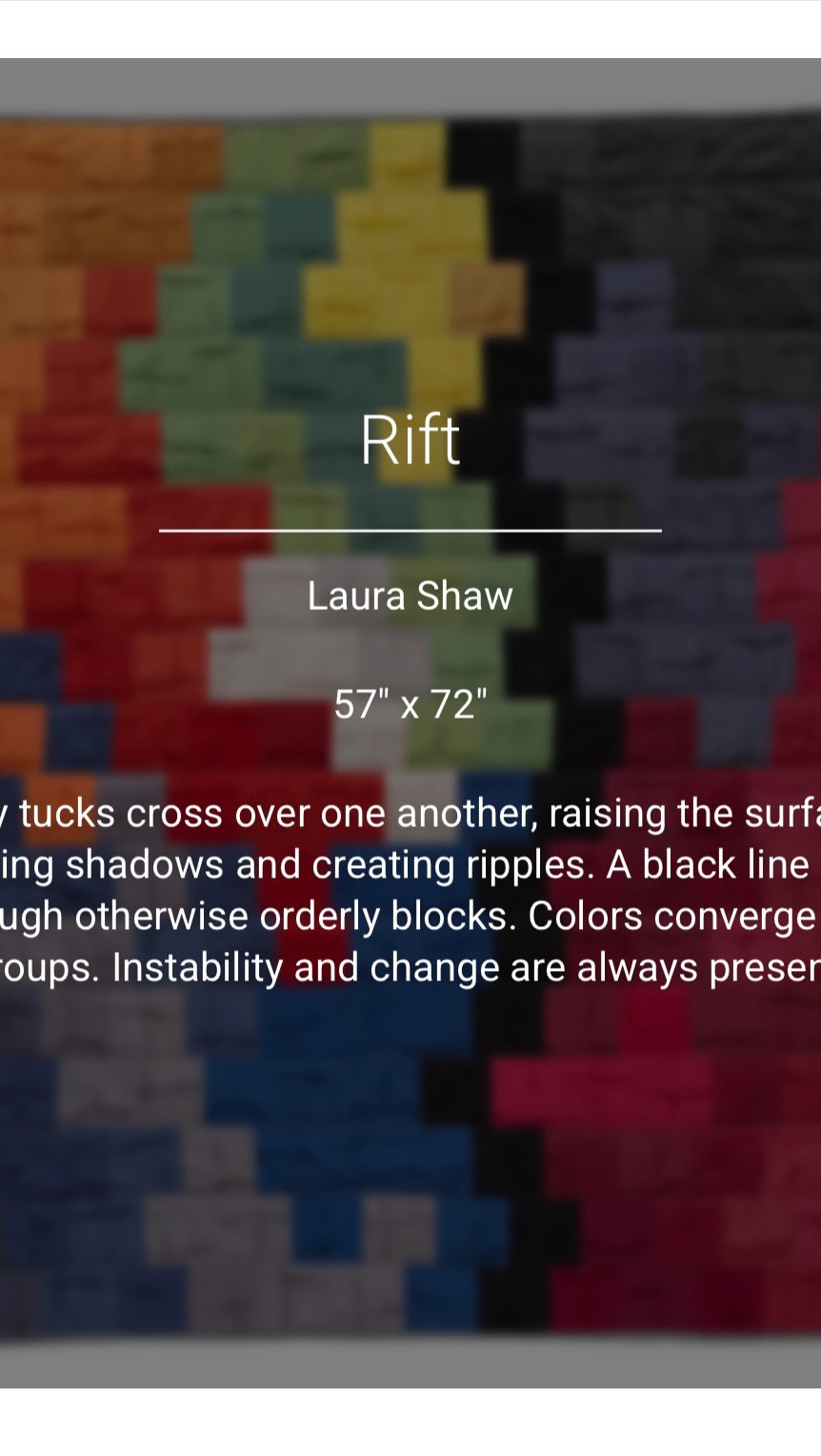 You can still submit your quilt until Jan 28th! Comment “gallery” and I’ll send you the link to the submission form or just message me. And yes you heard right, I’m going to be giving a monetary prize/award/thing to the quilt with the best use of repurposed materials, as a way to help support artists who are creating sustainably.
Working on this today brought me so much joy, reading through each artist statement and learning about the materials each quilter chose. I know it’s hard right now, but sharing your art and supporting the makers in this community is a great way to move forward. It’s not a distraction, it’s fuel!
Quilts pictured by @laurashaw.quilts @sewistry_nc @aw_quilts @DebbieQuilts @sara.fornia