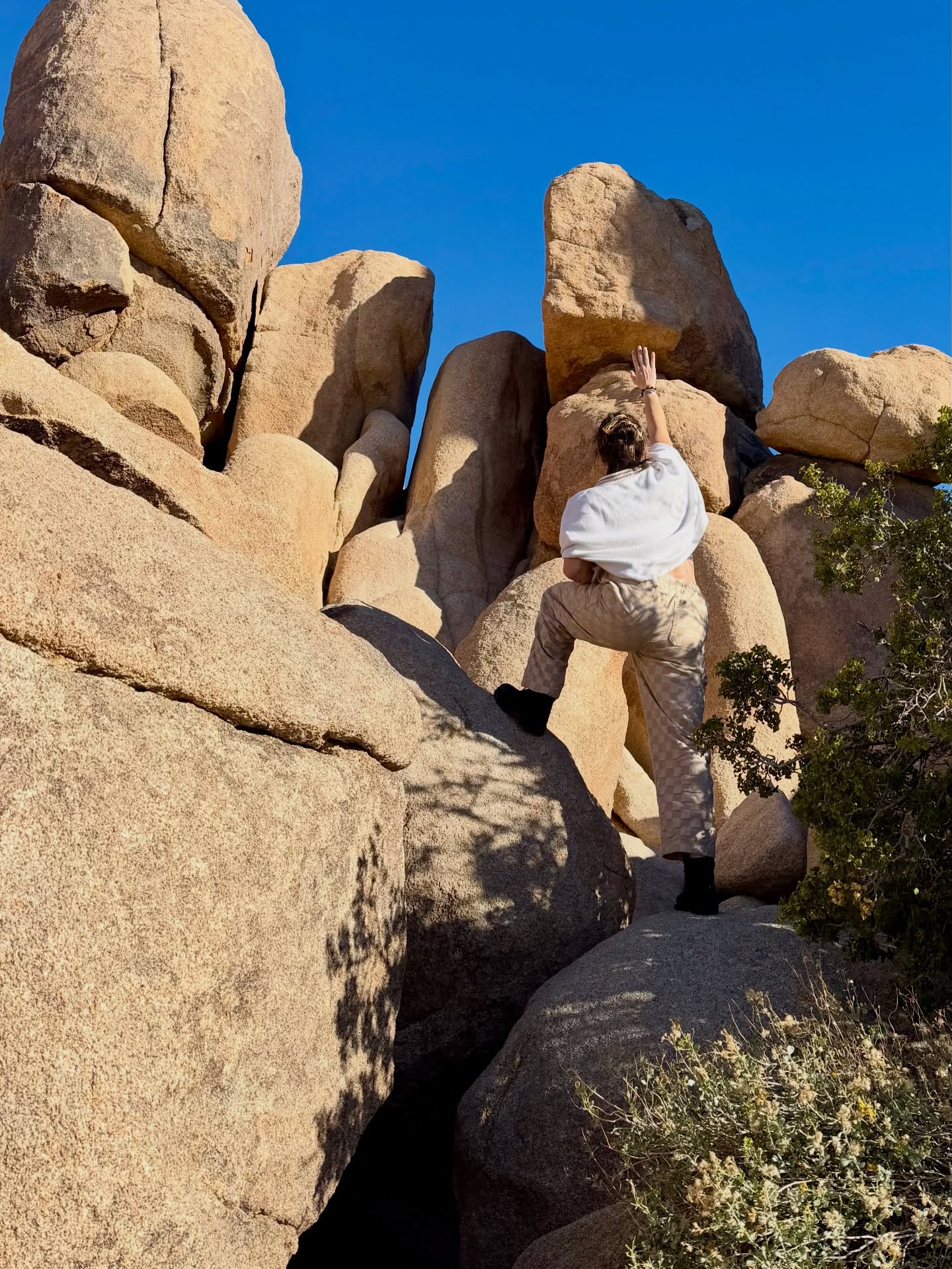 grounded. present. here.
joshua tree.