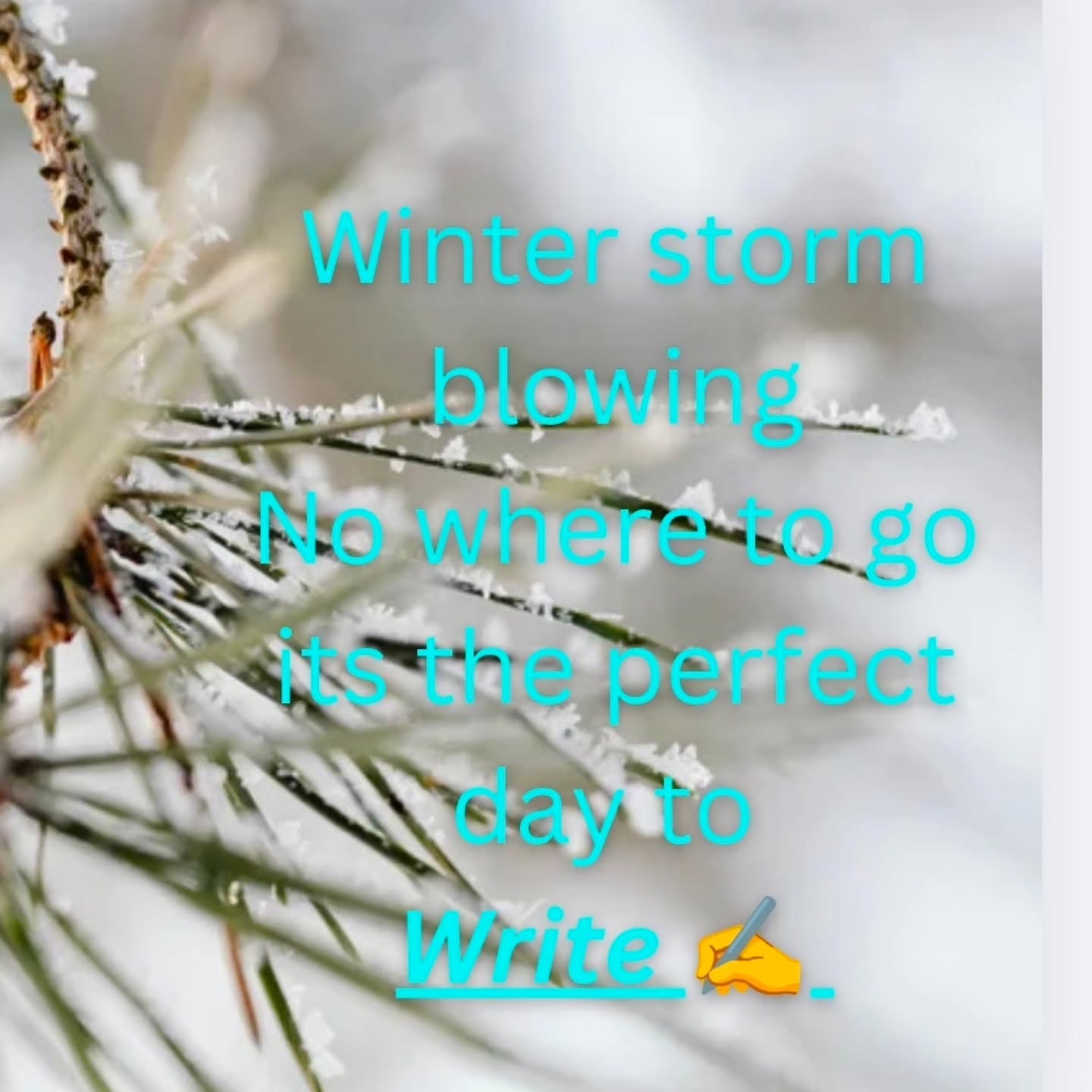 Outside is cold and the snow is falling steady. Its a terrible day to drive but a perfect day to watch out the window and get some writing done.
#winterwonderland #winterstorm #writing #novelwriting #urbanfantasy