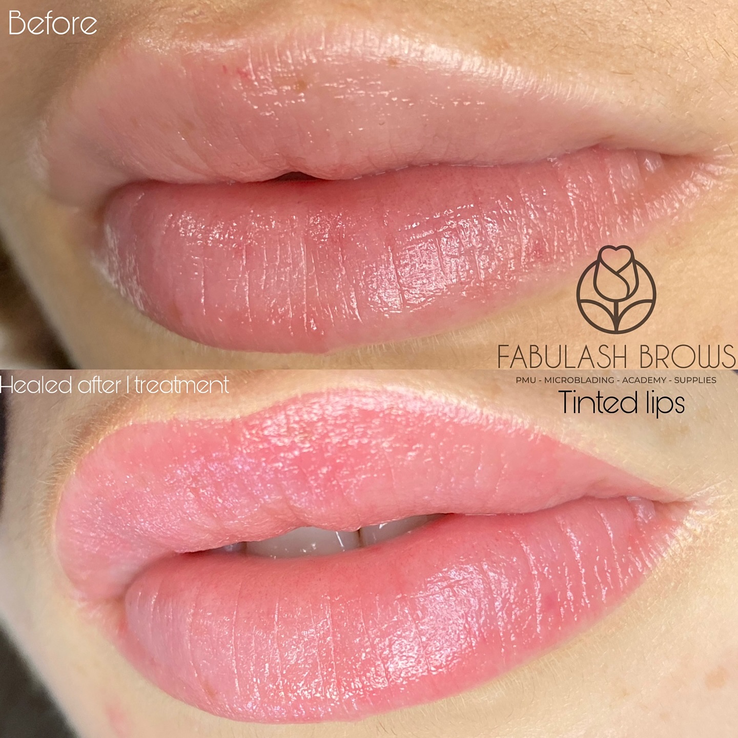 💁♀️Healed lips before touch up💪! As natural as she likes!
If you want more defined lips and natural color! We can match what you want 😊!
#liptattoo #blushlips #nz #wellington #wellingtoncosmetictattoo #semipermanentmakeup #tattooedlips