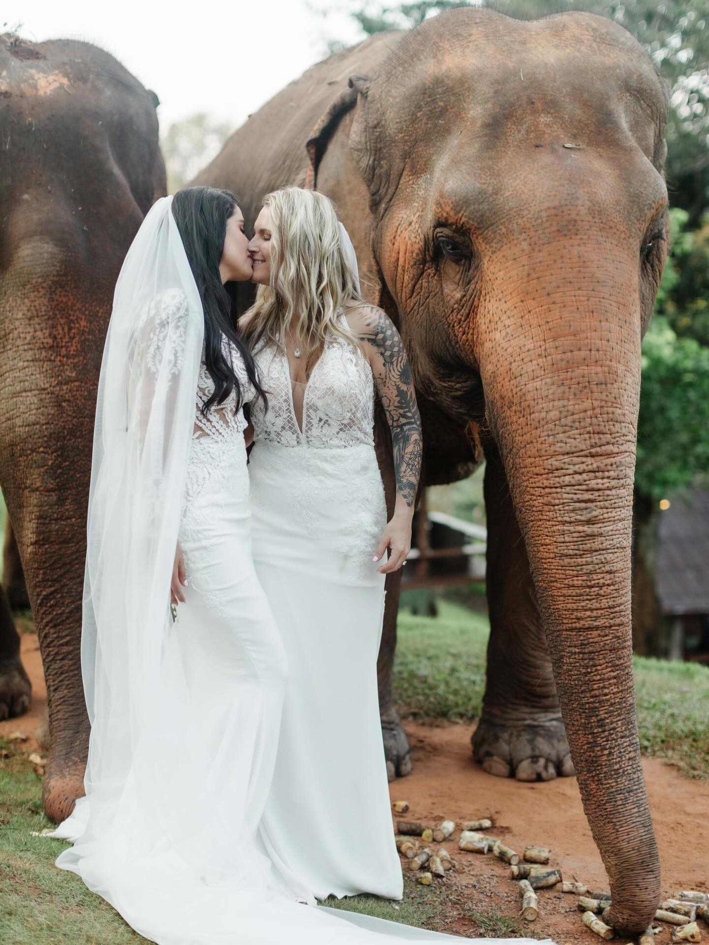 #Wedding #photography #photographer #chiangmai #phuket phuketphotographer phuketweddingphotogtapher phuketdesrinationweddingphotographer thailanddestinationphotographer thailanddestinationwedding aradaphotography photo thailand cmfamilyphoto chiangmaiweddingdestination
fourseasonswedding
chiangmaiwedding weddinginchiangmai weddingtoday chiangmaiphotographer weddingthailand chiangmaifamilyphoto cmfamilyphoto chiangmaidestinationphotographer chiangmaiweddingphoto chiangmaiweddingphotographer
phuketdestinationwedding
chiangmaiweddingphotography
