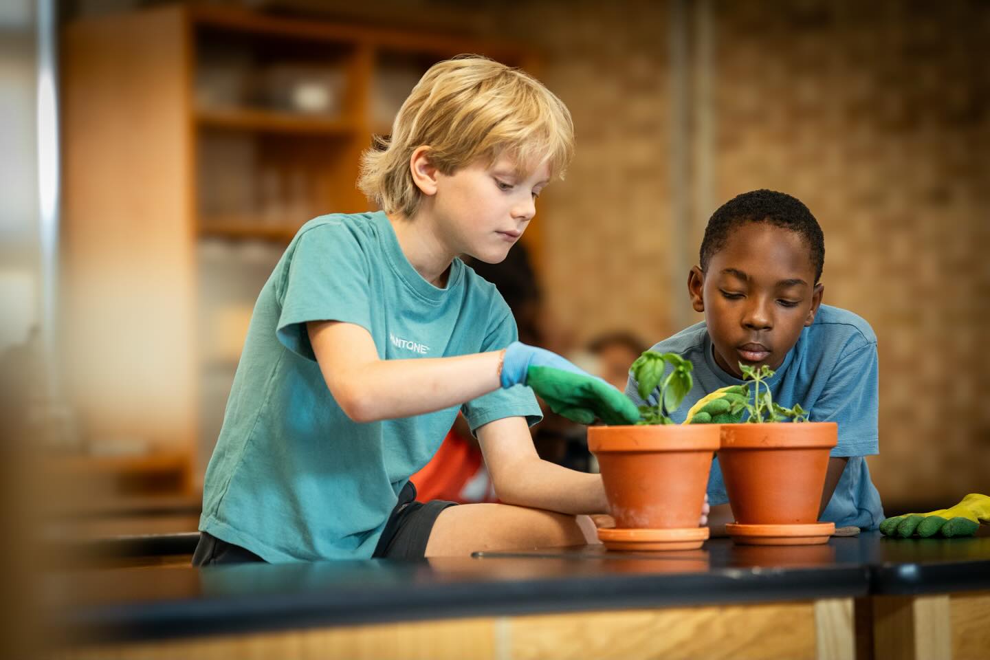 🌱✨ We’re growing more than plants at St. Ignatius School. We’re growing curiosity through STEAM.
Growing confidence through hands-on learning.
Growing collaboration, creativity, and problem-solving.
We’re growing a love of discovery and the belief that our students can explore, experiment, and understand the world around them. Because when learning is rooted in wonder, growth follows. #lionsleadtheway
