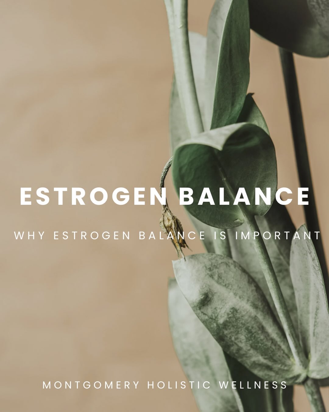 Balanced estrogen keeps you glowing, energized, and feeling good ☀️ Too high or too low? Your body lets you know Support your gut, lower stress, and lighten your toxin load to help support your estrogen naturally 🌿
#cyclesyncing #womenswellness #nutrition #holisticliving #hormonehealth