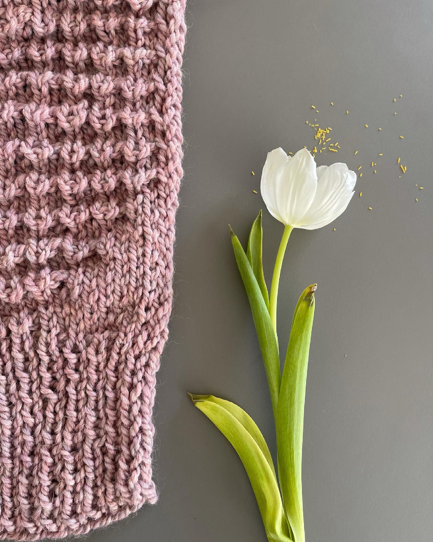 scarf NEVIA
Die Tulpe schon etwas verblüht und der Schal auch nicht mehr ganz aktuell ;-). Wobei man ihn doch manchmal noch braucht, aber eher eine dünnere Variante - wir hoffen ja schliesslich, dass der Frühling bald zurückkommt.
Die Anleitung zum Schal bin ich am Überprüfen und sie wird bald auf meiner Website erhältlich sein.
Habt ein schönes Wochenende.
#scarf #scarfnevia #nevia #knit #knitting #stricken #nie_knitwear #knitwearolten #knittingwithfriends #slowfashion #buyfrompeopleyouknow #fashionrevolution #madeinswitzerland #knittedinswitzerland #tricot #lisme #olten #aarau #mokkarubin