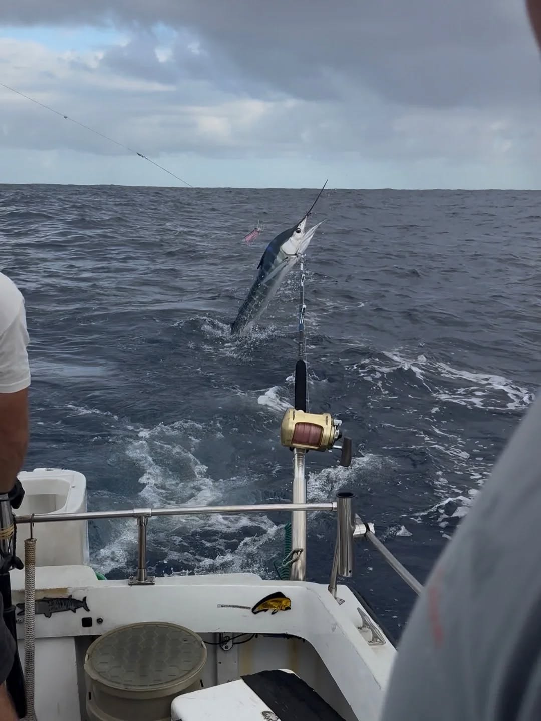 Todays catch! Nice striped Marlin! Giving us a fight and a show! Caught on todays half day!
Book your trip today!
For charters check out:
Gofishoahu.com
#marlin #boatlife #stripedmarlin #fishingfordinner #fishforsale fishtacos bakedfish ceviche poke sahimi trolling pelagicfishing fishingbooker haleiwafishingcharter haleiwa hawaii fishingkids hawaiifishingcharter oahufishing oahu dinnerfish livetofish captainmatt lines lures rods reels polebender luckylasshaleiwacharters gofishoahu