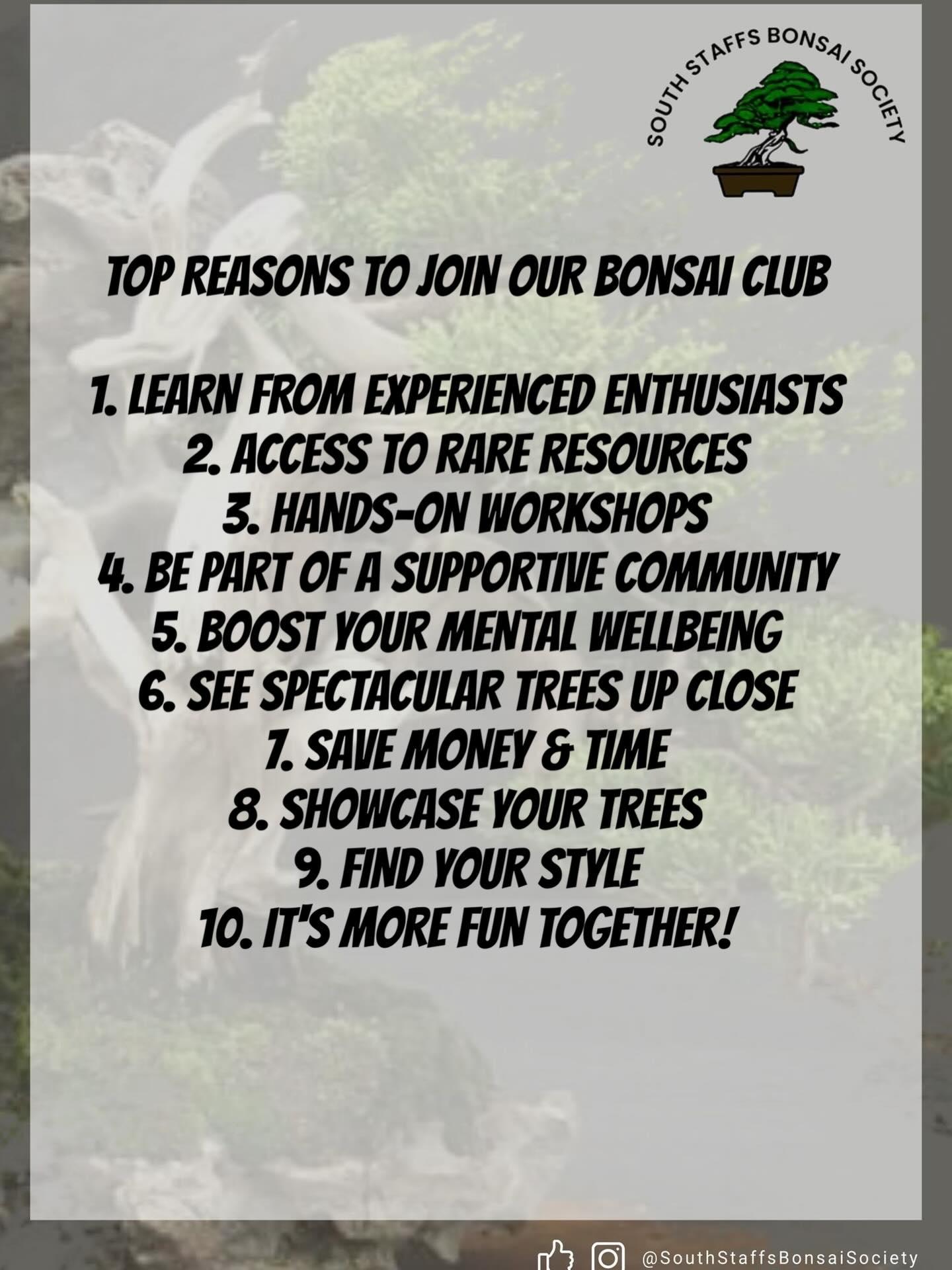 “Why join a bonsai club?
Because the best teachers aren’t in books-they’re holding branch cutters next to you.
From hands-on workshops to a supportive community that celebrates every new bud, your bonsai journey will grow deeper and faster with friends. 
Ready to connect?
Next meetup: Wednesday 21st January
° Location: Boldmere.
First club meet is free
South Staffs Bonsai Society. #bonsai