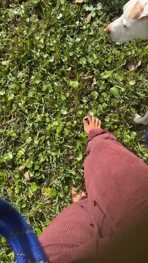 Take a walk with me.
I’d love to hear from you in the comments 🙏🏽
#barefeet #nature #puppy #wellness #yogateacher