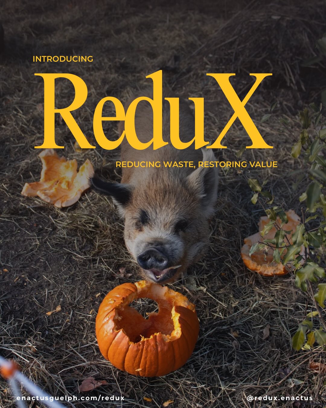 Project Spotlight: ReduX
ReduX is a student-led Enactus Guelph project focused on circular economy solutions and sustainable agriculture. The team will be competing at the Enactus Regional Competition in Toronto in the coming months.
Learn more: enactusguelph.com/redux
#enactus #enactusguelph #sustainability #farm #project