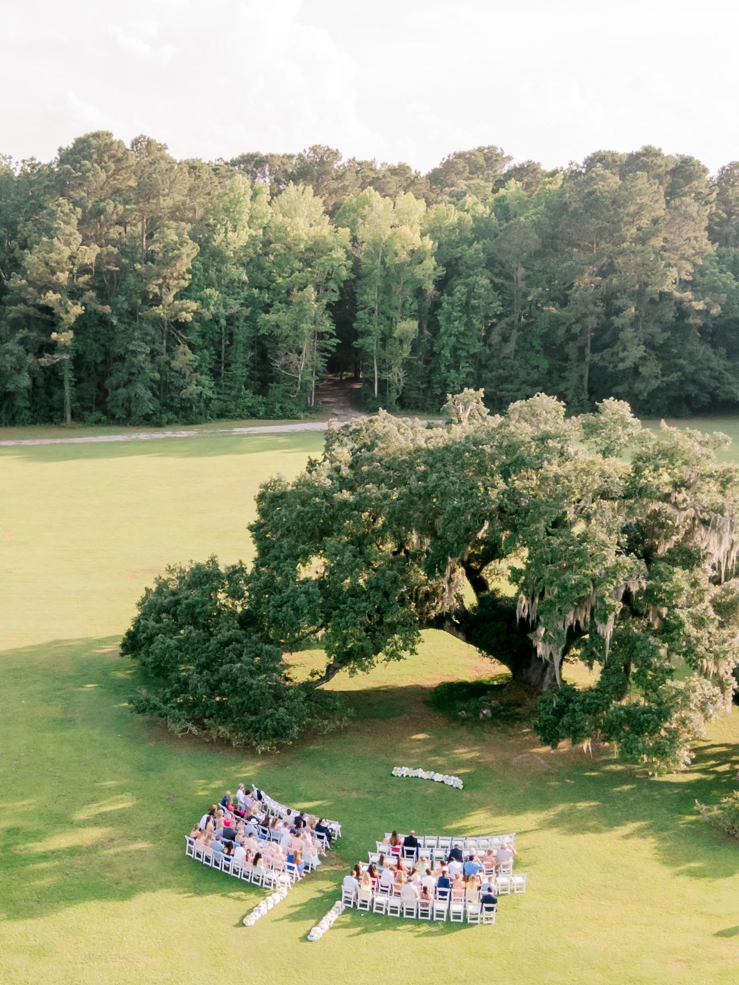 A Lowcountry wedding beneath a 1,000 year old oak tree. Pure magic ✨
