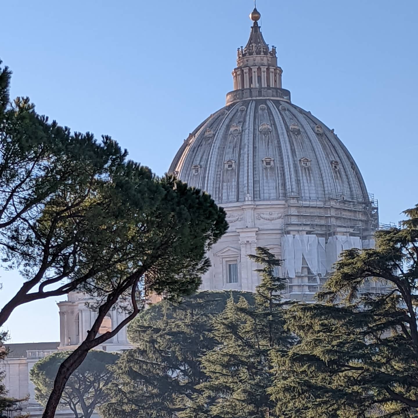 The dome of St. Peter's in the morning sun.