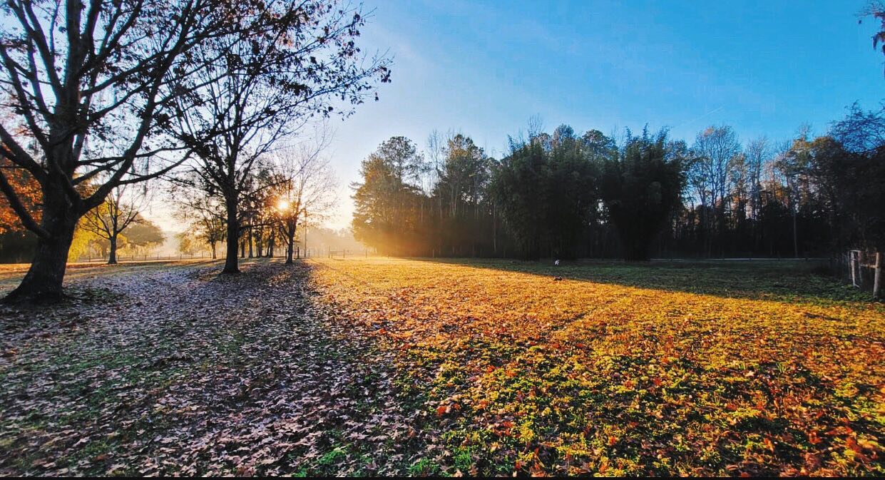 Enjoying our new home every day 😍