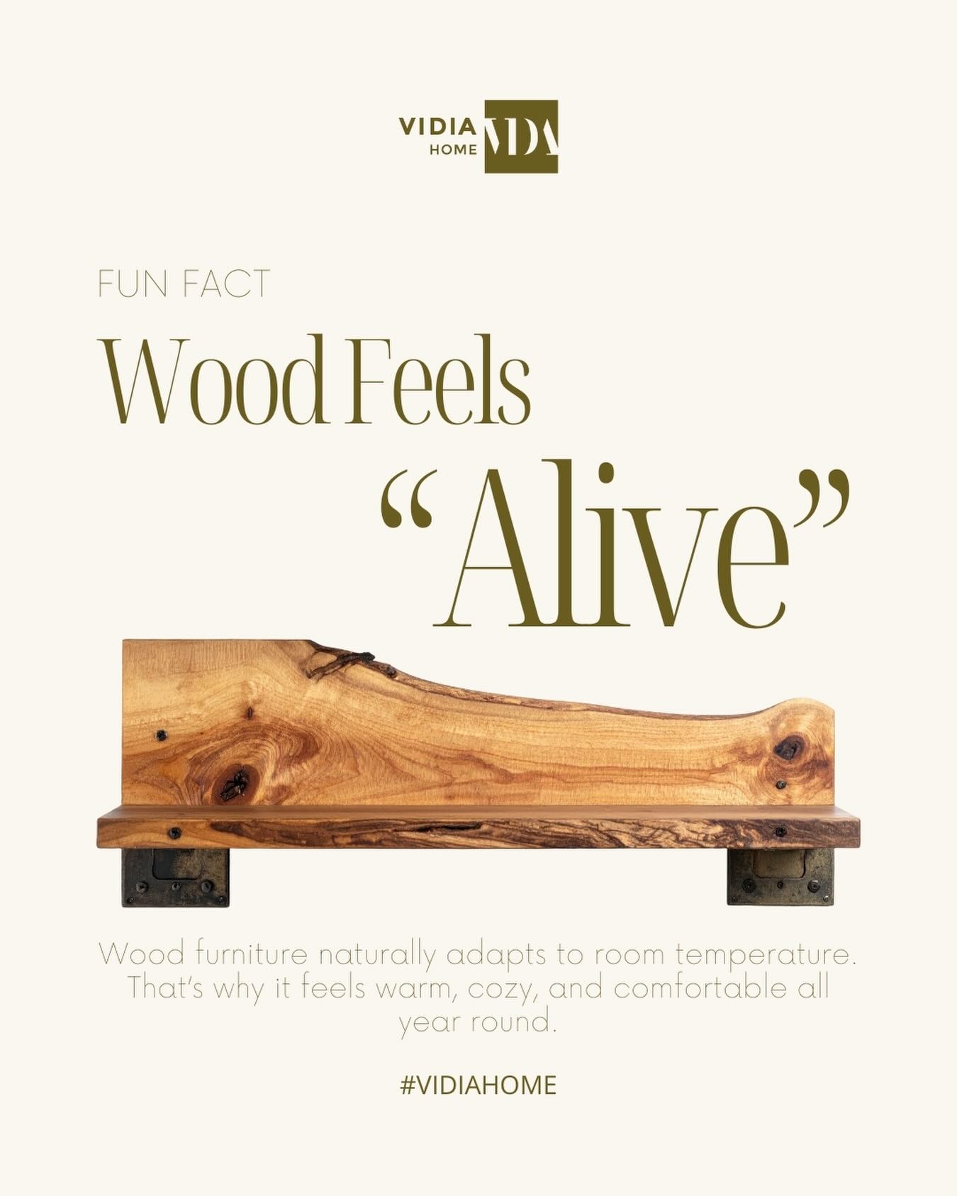 Ever noticed how wood never feels cold, no matter the season?
That’s because real wood adapts. It breathes with the room, holds warmth naturally, and brings a sense of comfort you can actually feel 🪵✨
If you love spaces that feel calm, warm, and timeless, wood will always be the answer.
Bring nature closer. Feel the difference. Build a home that feels alive with @vidiahome 💪🏼
#VIDIAHome #VIDIAStyle #VIDIACustom #FurnitureKayuJakarta
