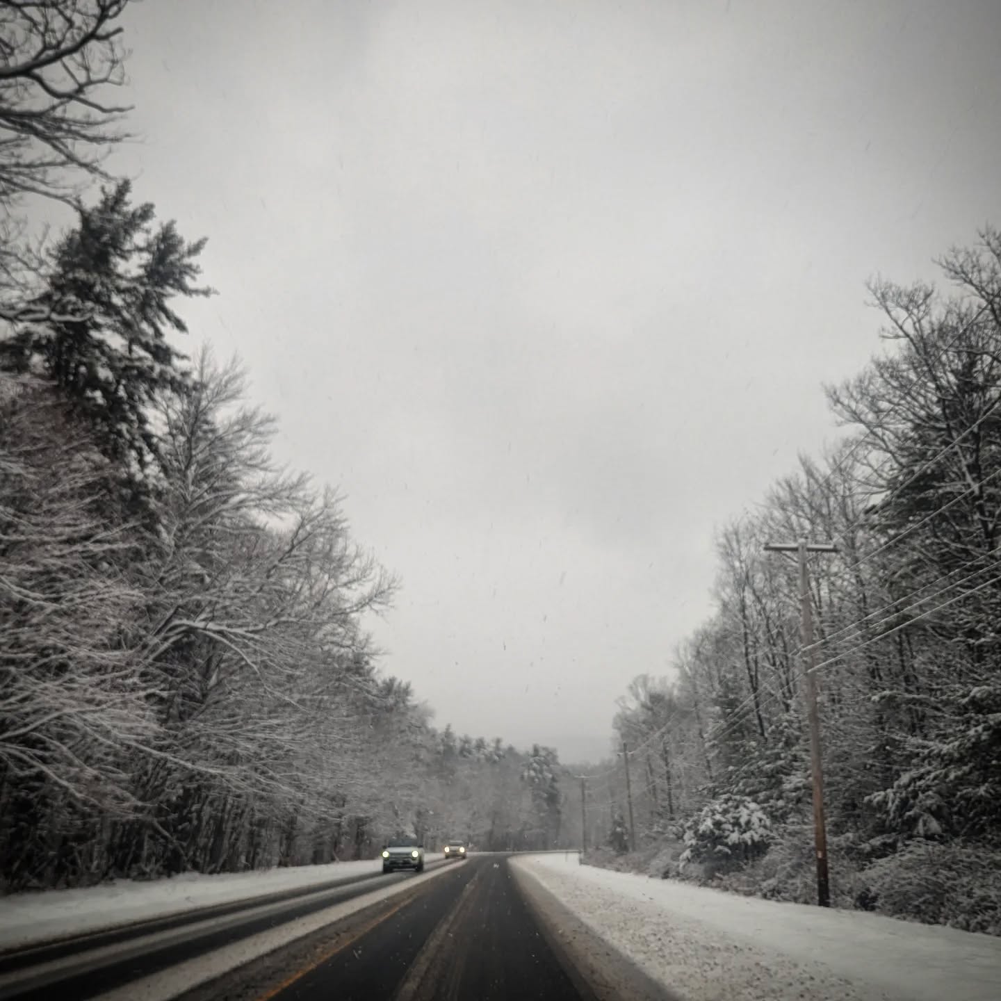 Winter in the mountains is grayscale af 🤍🩶🖤
Bleak but beautiful.
#catskillmountains
#home
#winter