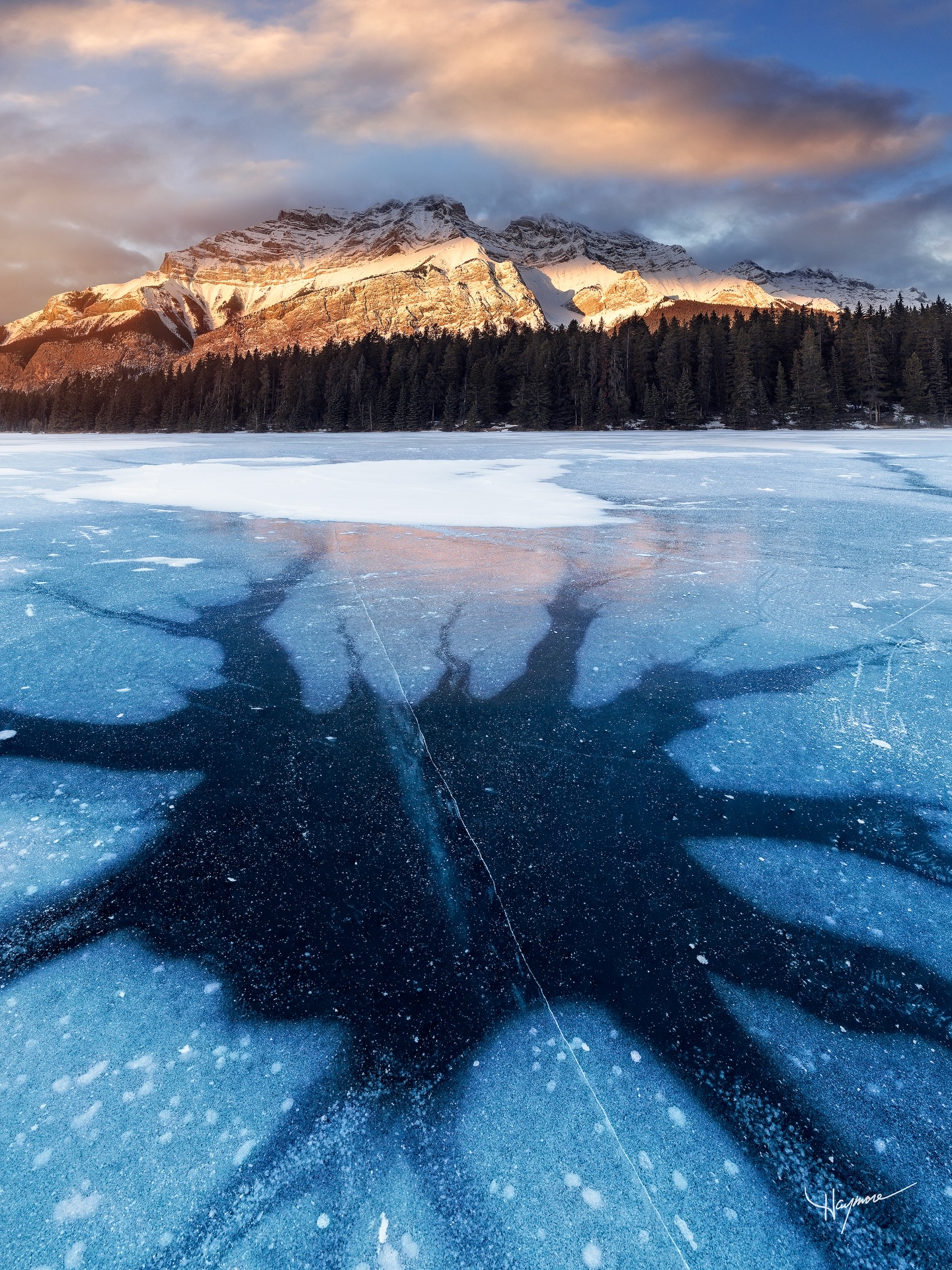 These fascinating ice formations looked like frozen squids with tentacles squiggling outwards.